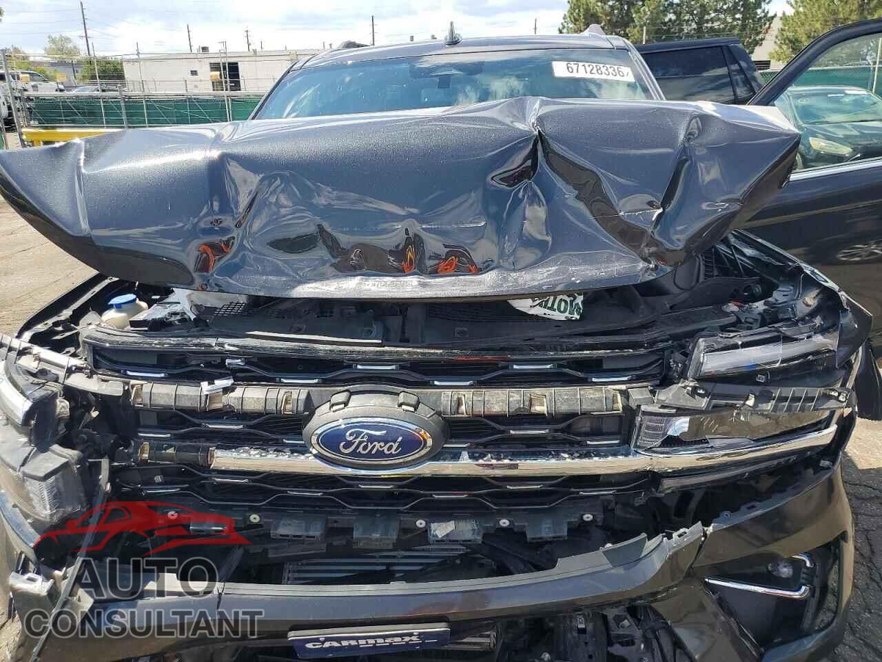 FORD EXPEDITION 2023 - 1FMJK2A84PEA03085