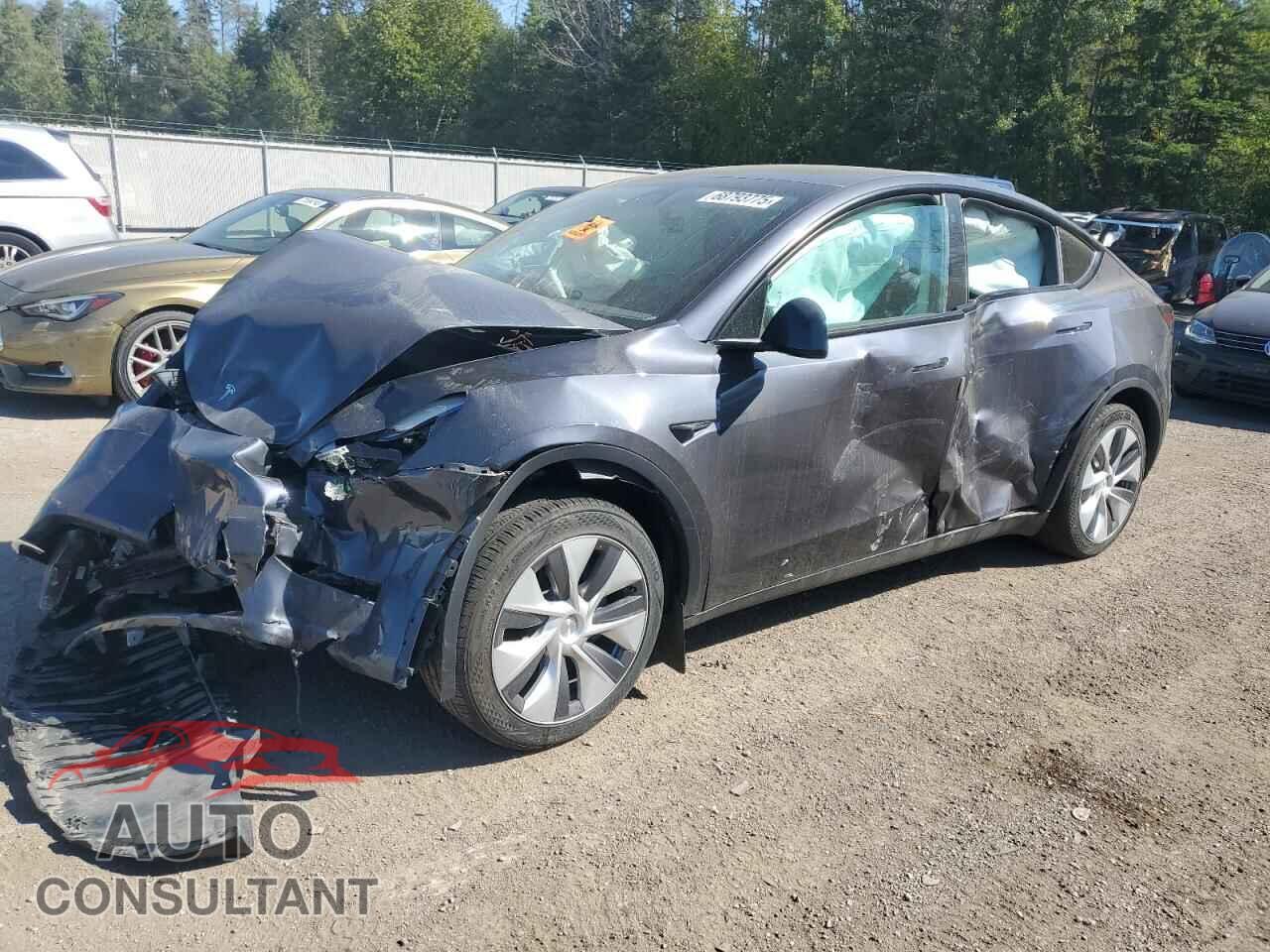 TESLA MODEL Y 2023 - LRWYGDFD1PC071892