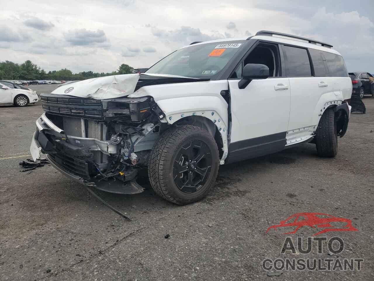 HYUNDAI SANTA FE 2024 - 5NMP3DGL7RH059279