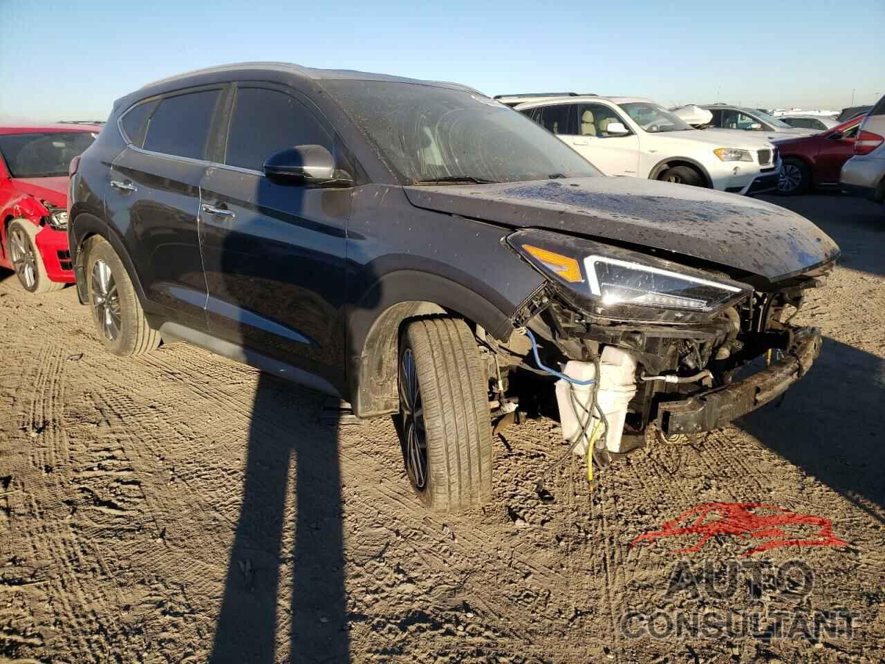 HYUNDAI TUCSON 2019 - KM8J3CAL7KU074240