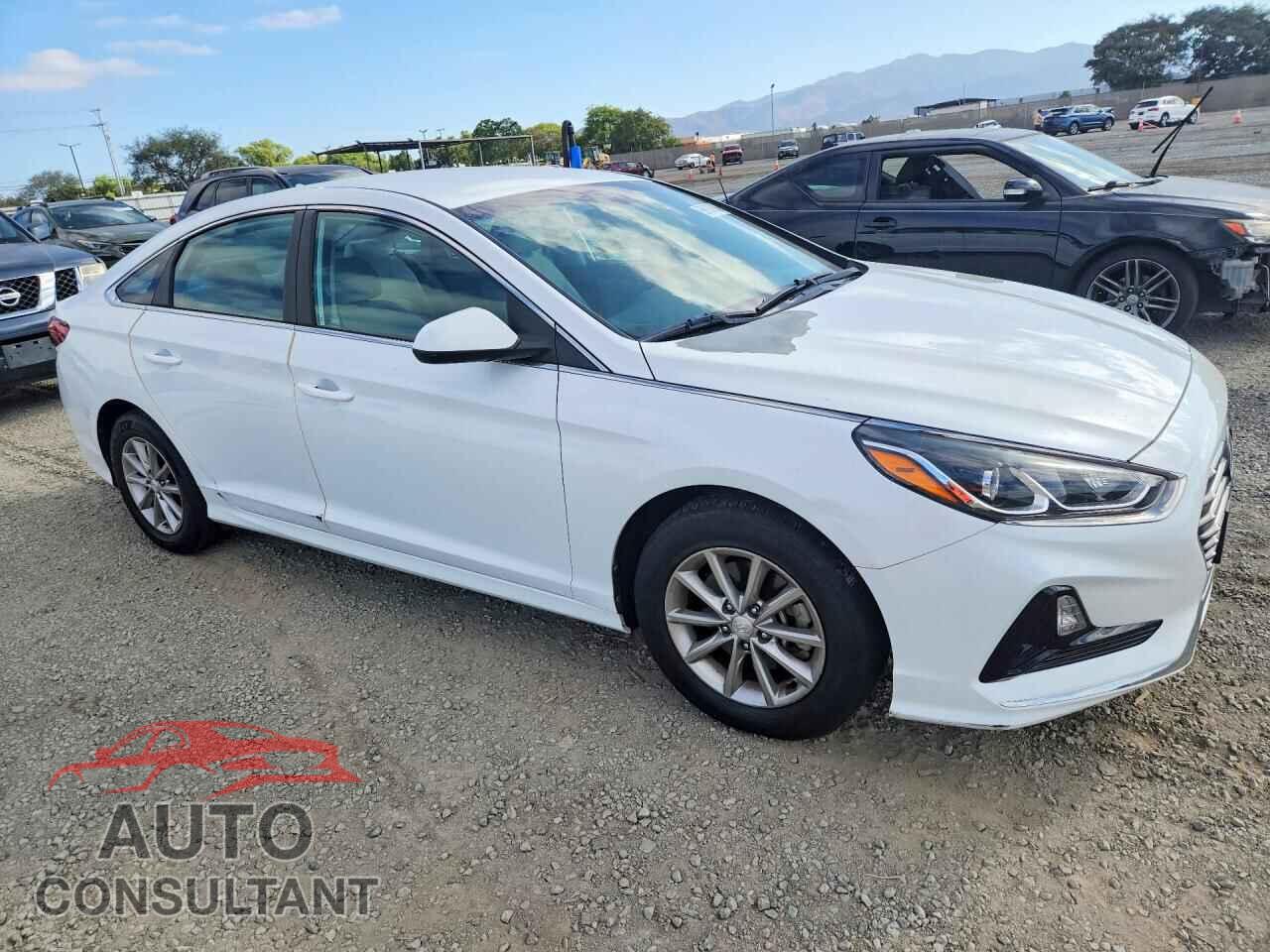 HYUNDAI SONATA 2019 - 5NPE24AF2KH765632