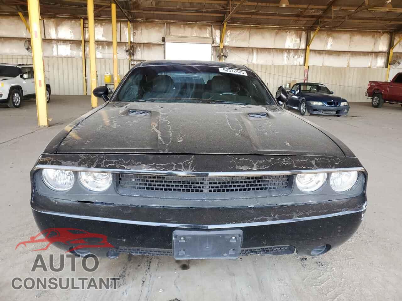 DODGE CHALLENGER 2013 - 2C3CDYAG2DH607891
