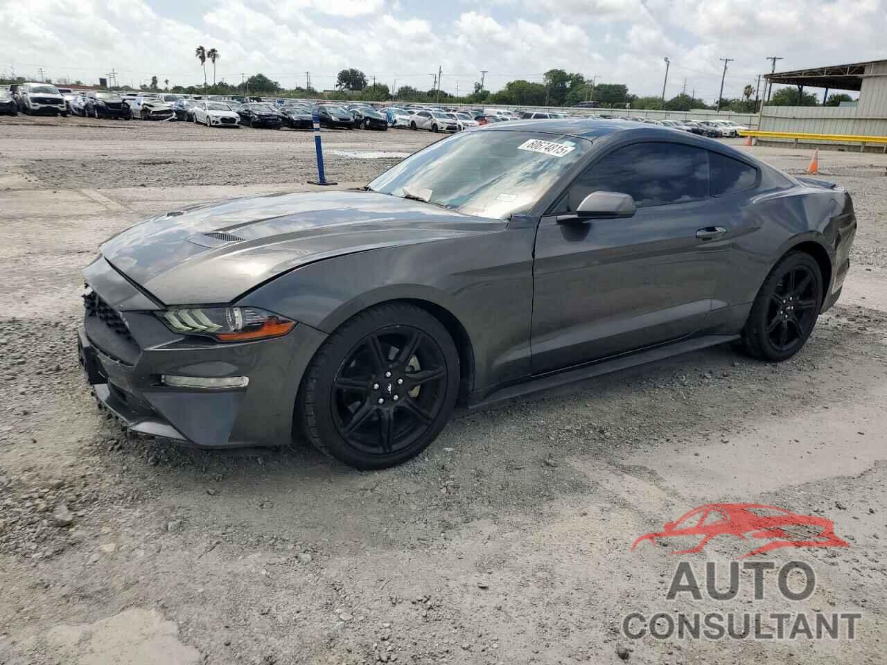 FORD ALL Models 2019 - 1FA6P8TH9K5168463