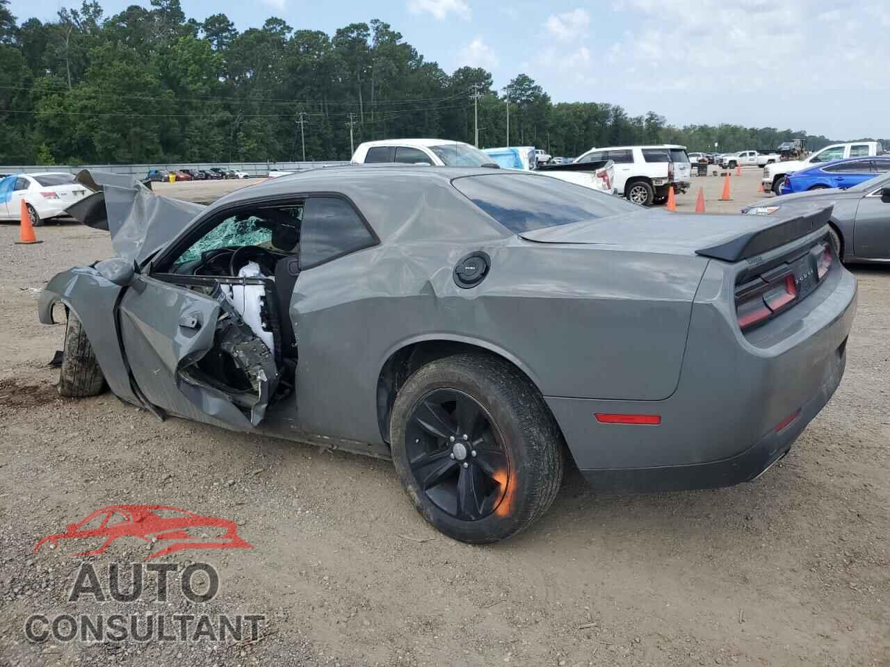 DODGE CHALLENGER 2019 - 2C3CDZAG1KH621008