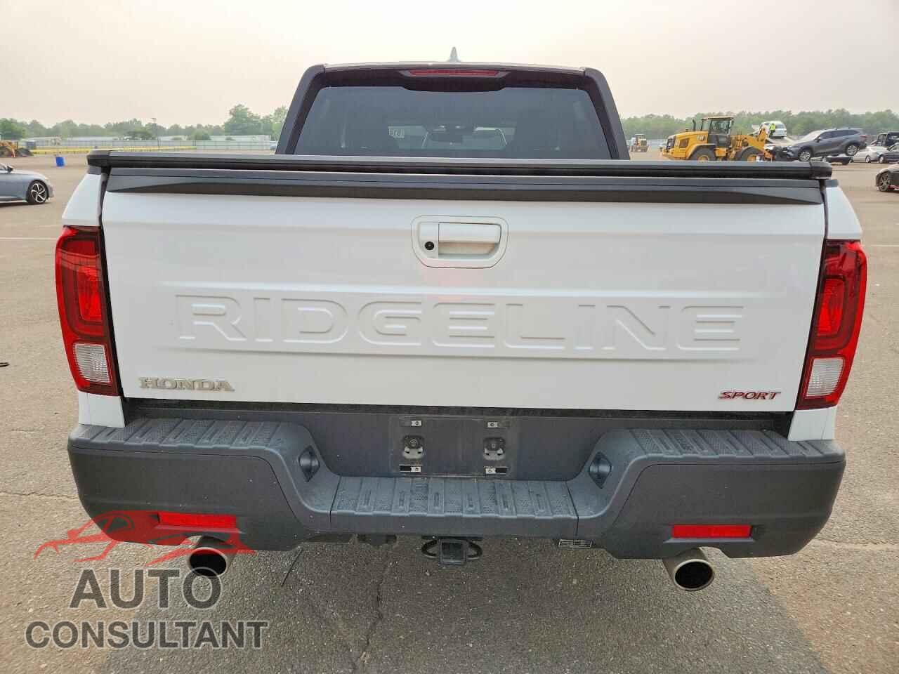 HONDA RIDGELINE 2024 - 5FPYK3F10RB021502