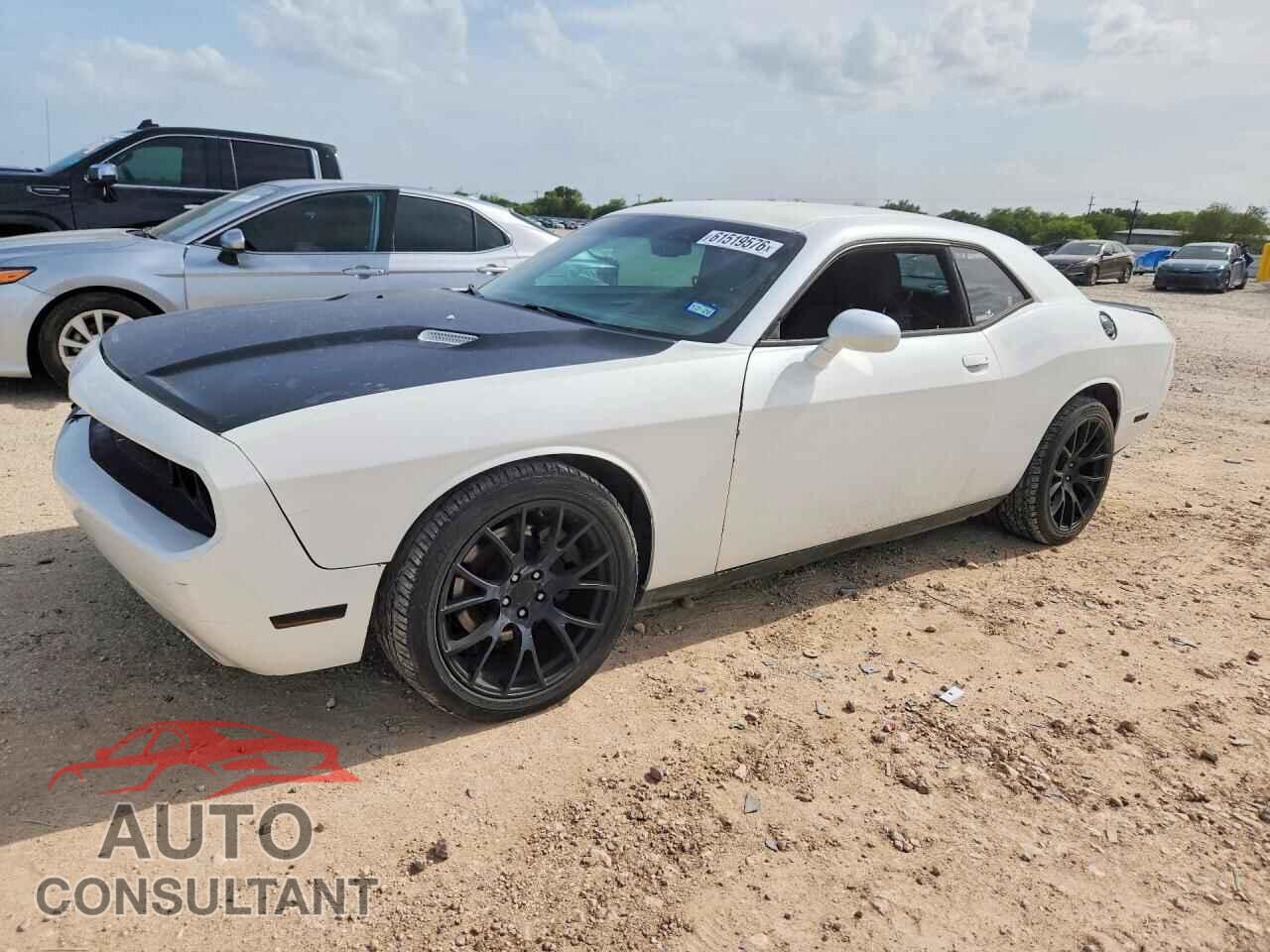 DODGE CHALLENGER 2013 - 2C3CDYBT4DH629029