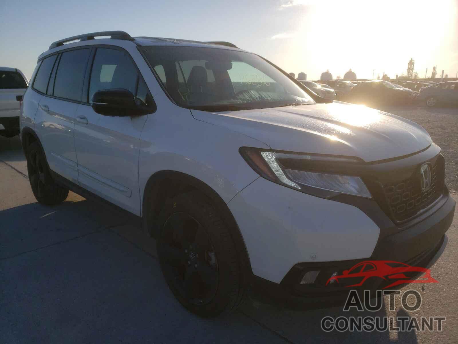 HONDA PASSPORT 2019 - 5FNYF8H04KB012032