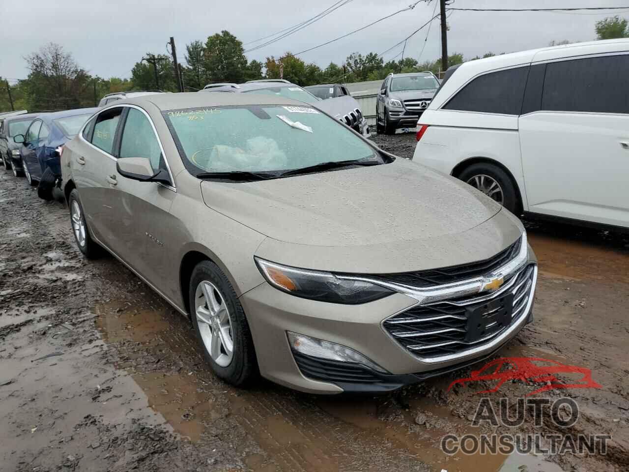CHEVROLET MALIBU 2022 - 1G1ZD5ST5NF176314
