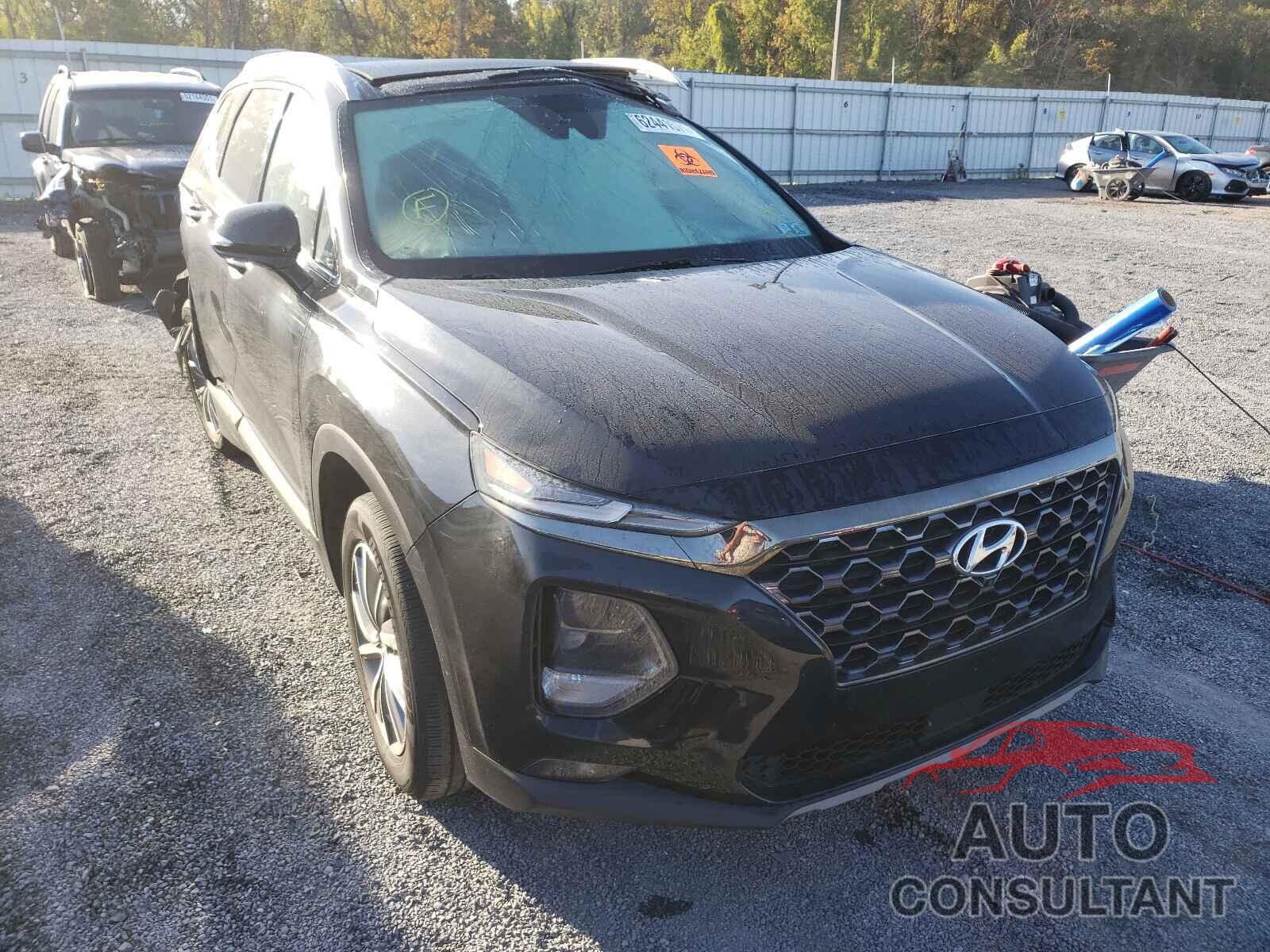 HYUNDAI SANTA FE 2019 - 5NMS5CAD0KH101152