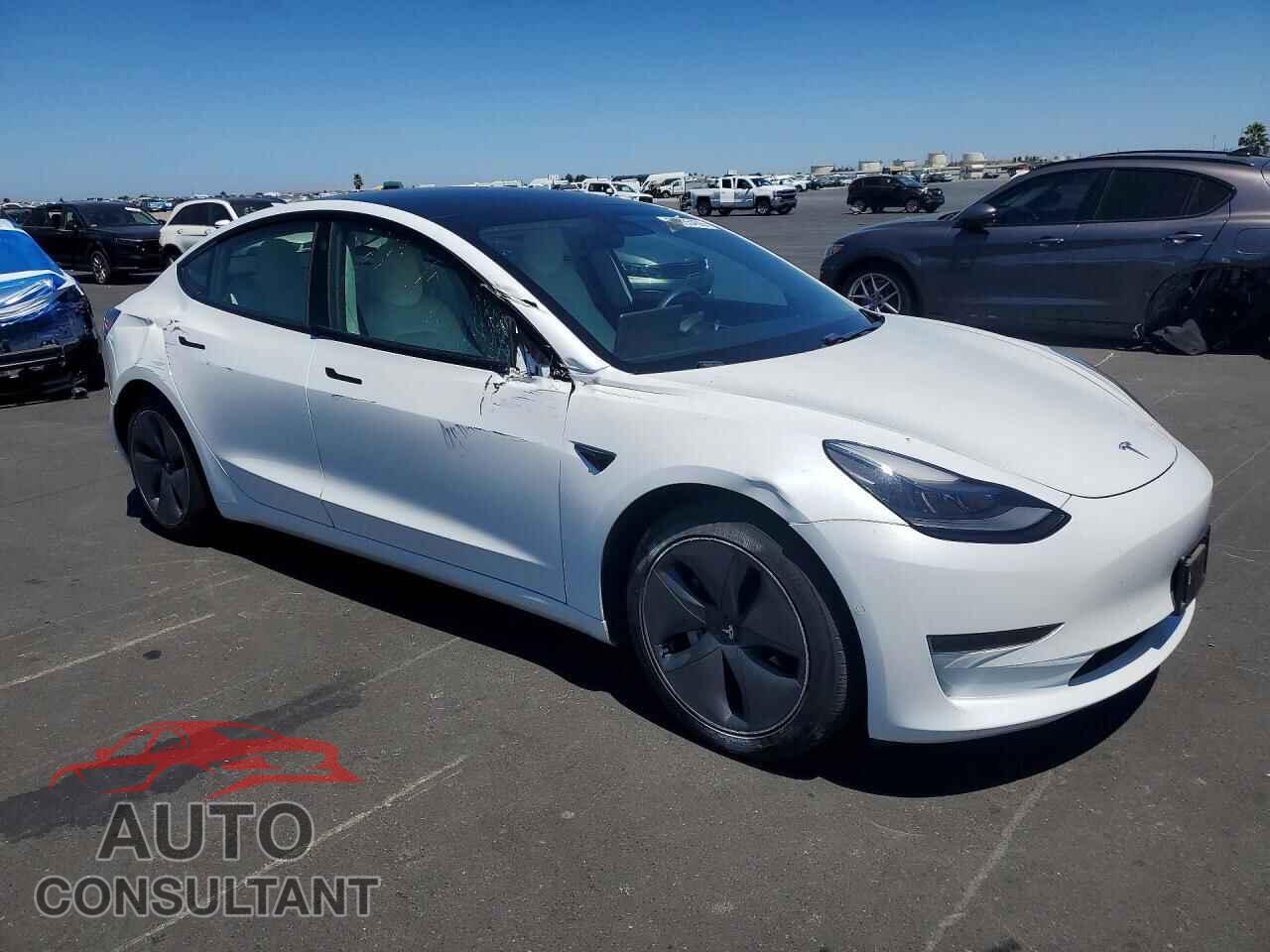 TESLA MODEL 3 2021 - 5YJ3E1EA1MF989875