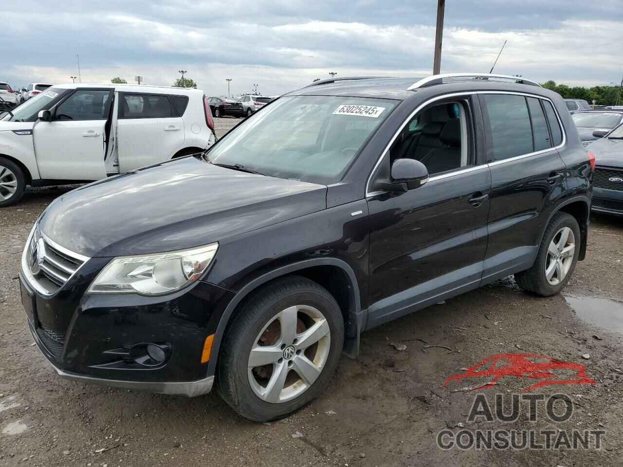 VOLKSWAGEN TIGUAN 2010 - WVGAV7AXXAW531730