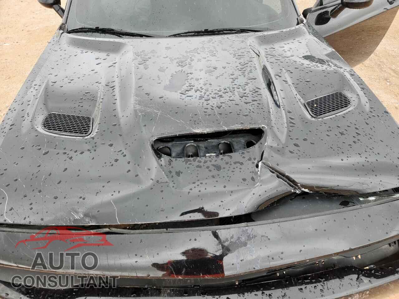 DODGE CHALLENGER 2019 - 2C3CDZBT2KH603905