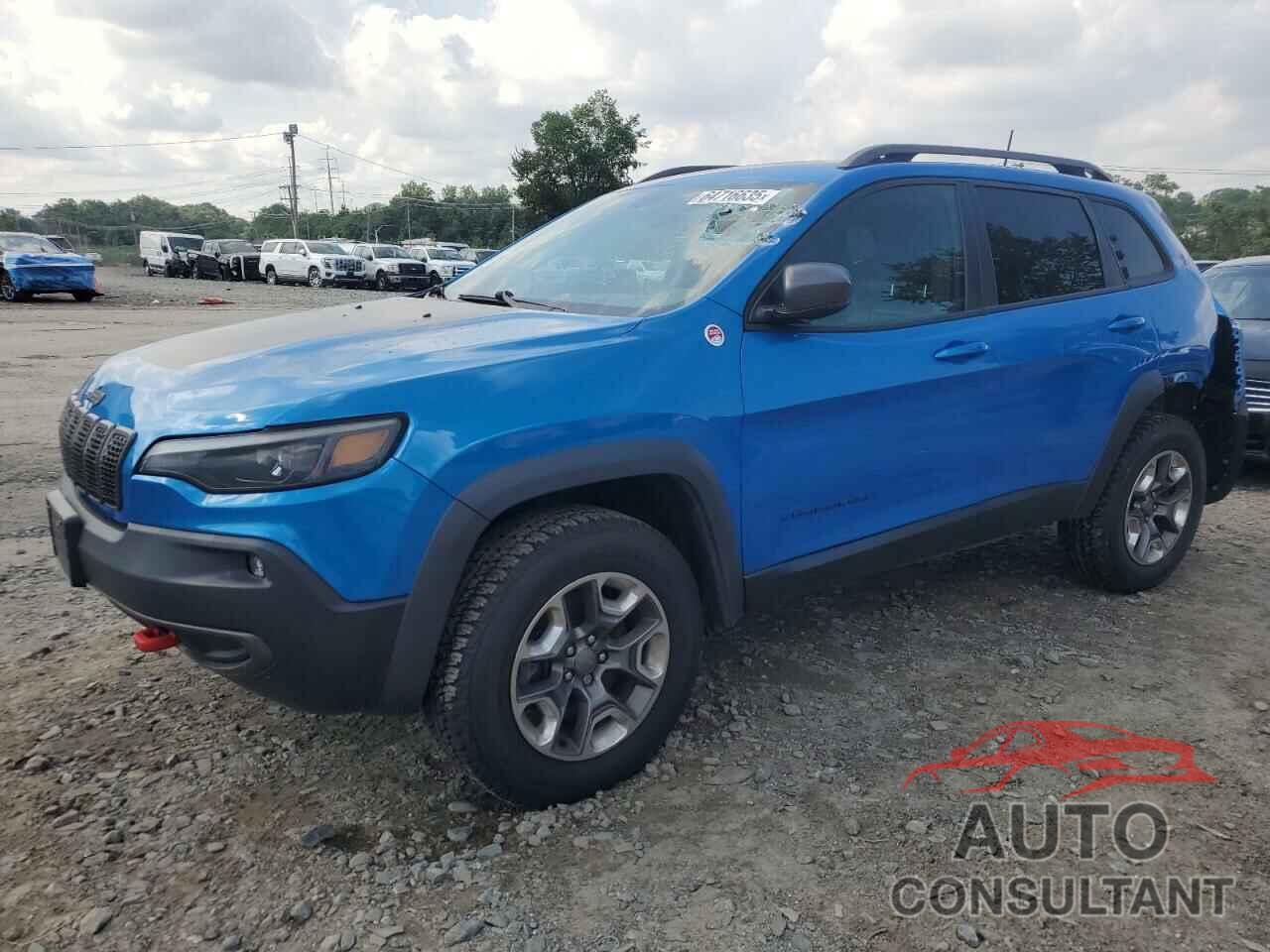 JEEP CHEROKEE 2019 - 1C4PJMBX8KD131119