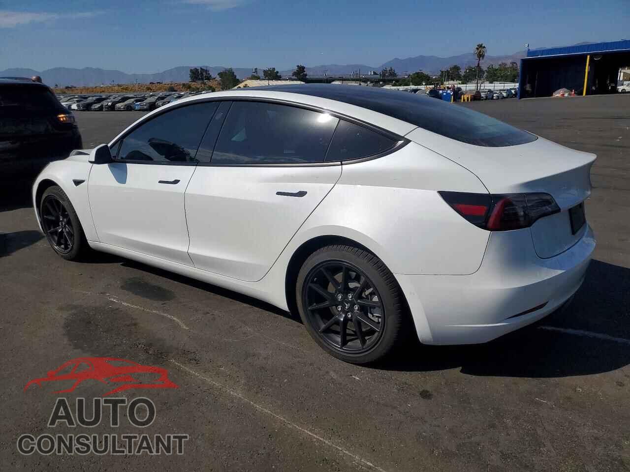 TESLA MODEL 3 2021 - 5YJ3E1EA4MF069044