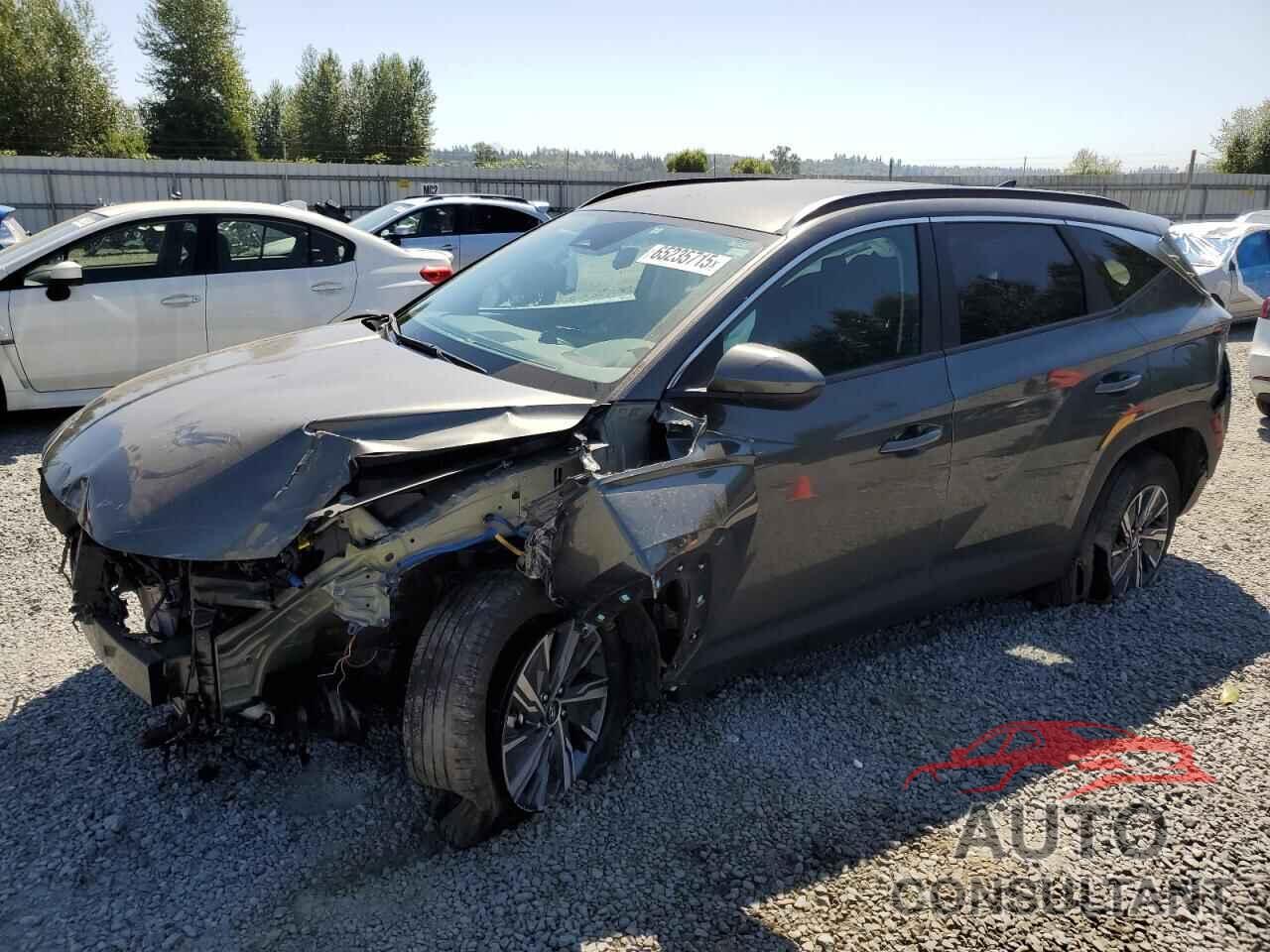 HYUNDAI TUCSON 2024 - KM8JBCD11RU148436