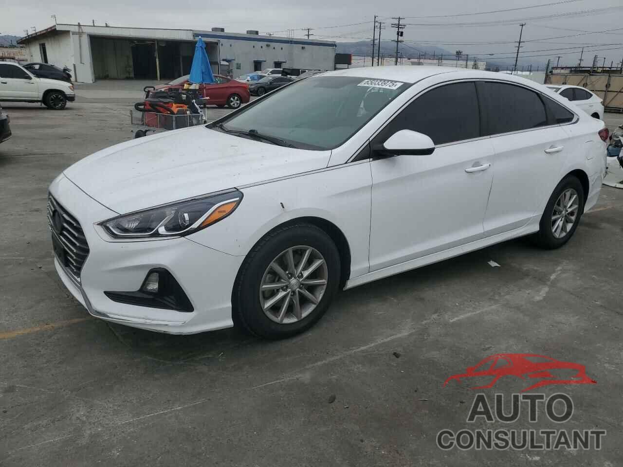 HYUNDAI SONATA 2019 - 5NPE24AF3KH740321