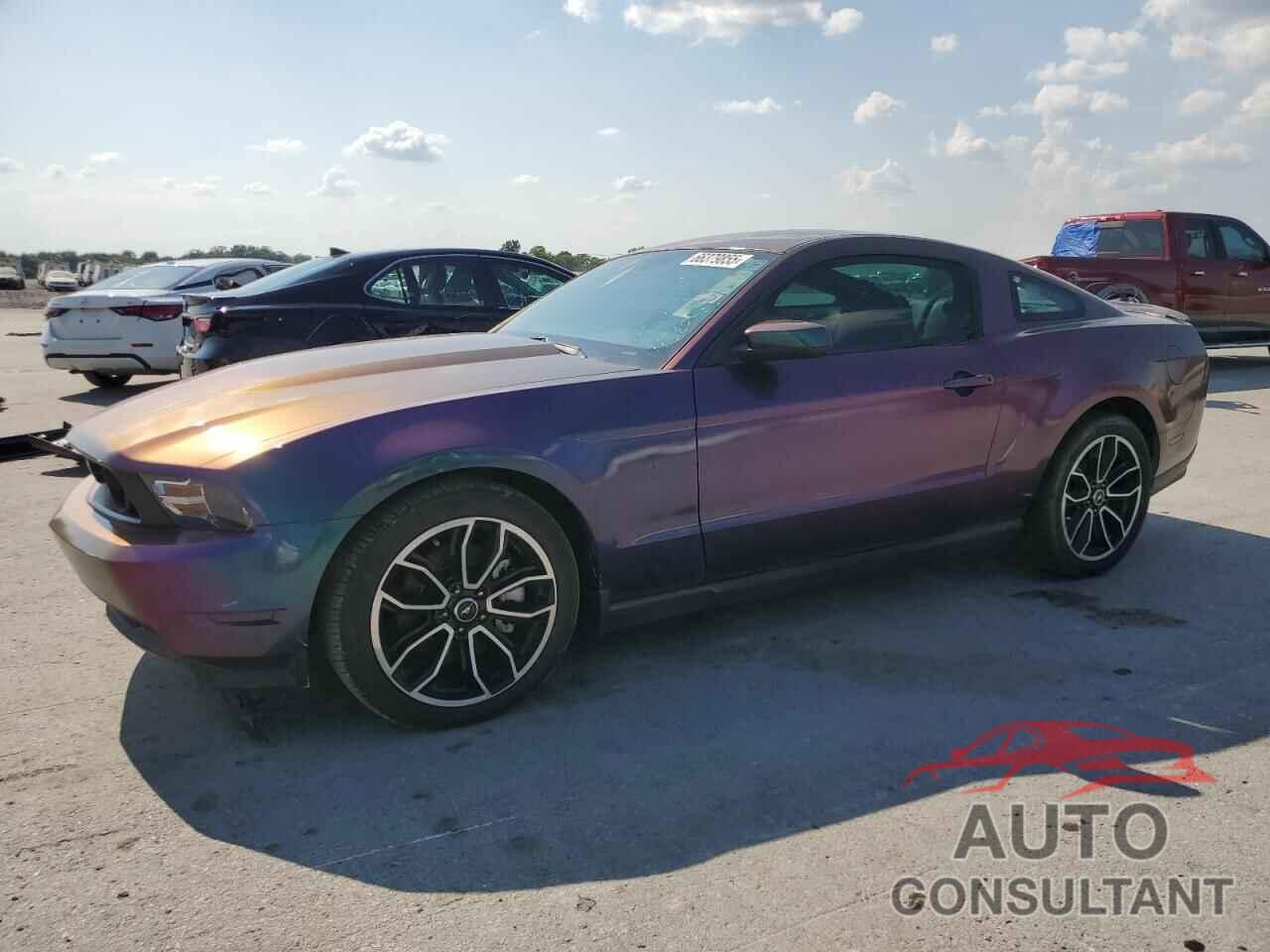 FORD MUSTANG 2011 - 1ZVBP8CF5B5117062