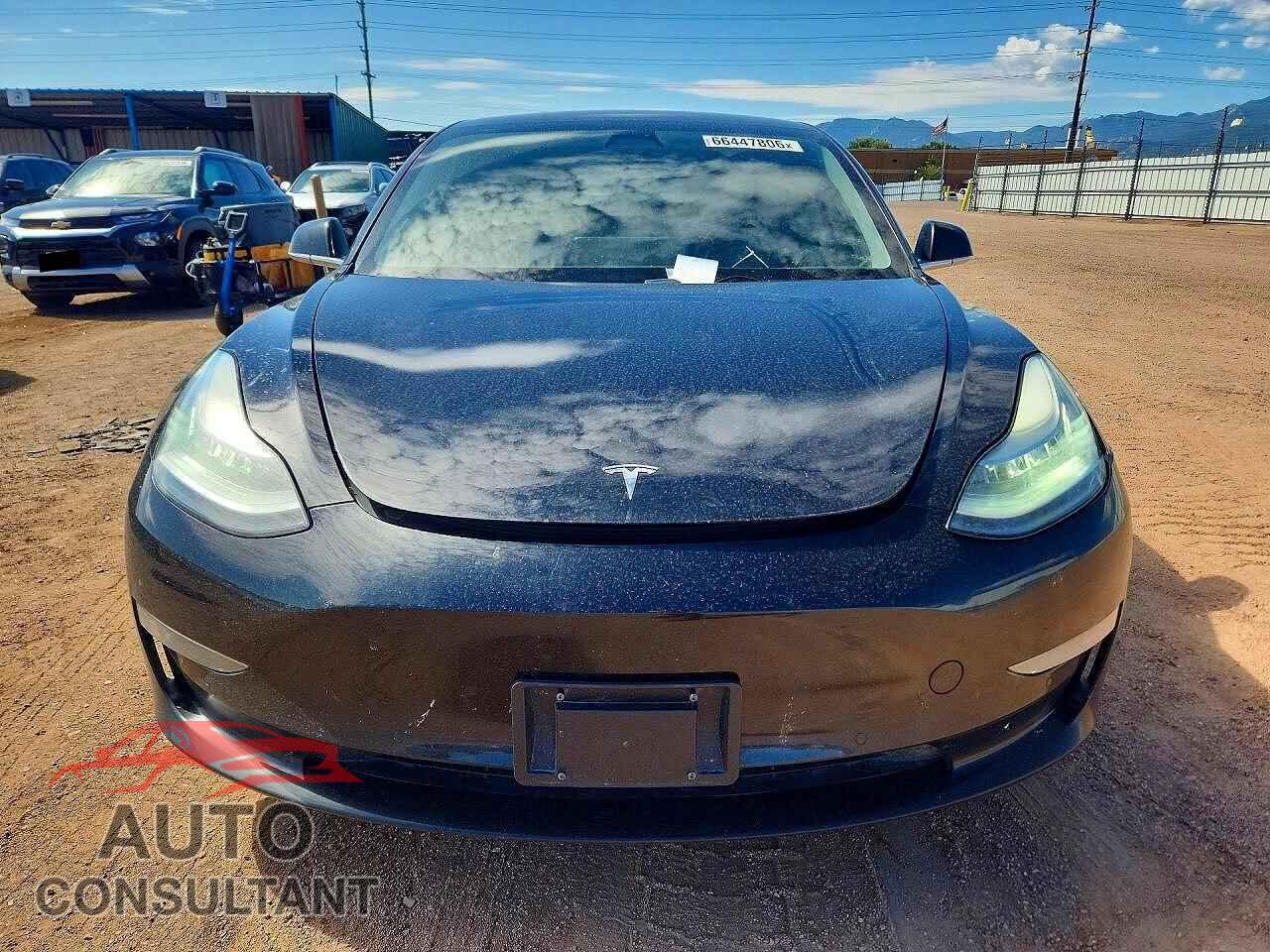 TESLA MODEL 3 2019 - 5YJ3E1EA9KF305460