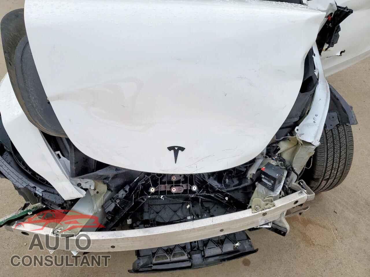 TESLA MODEL Y 2024 - 7SAYGDED6RF040196