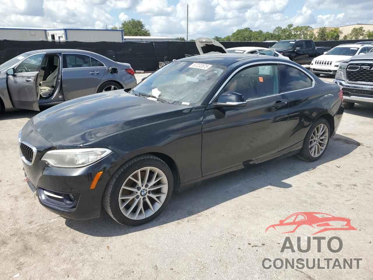 BMW 2 SERIES 2016 - WBA1F9C58GV544920