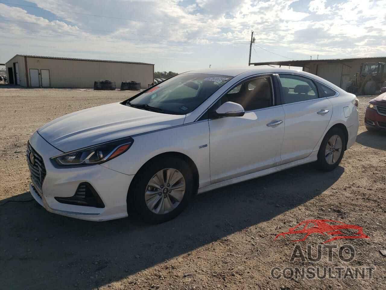 HYUNDAI SONATA 2019 - KMHE24L33KA094140