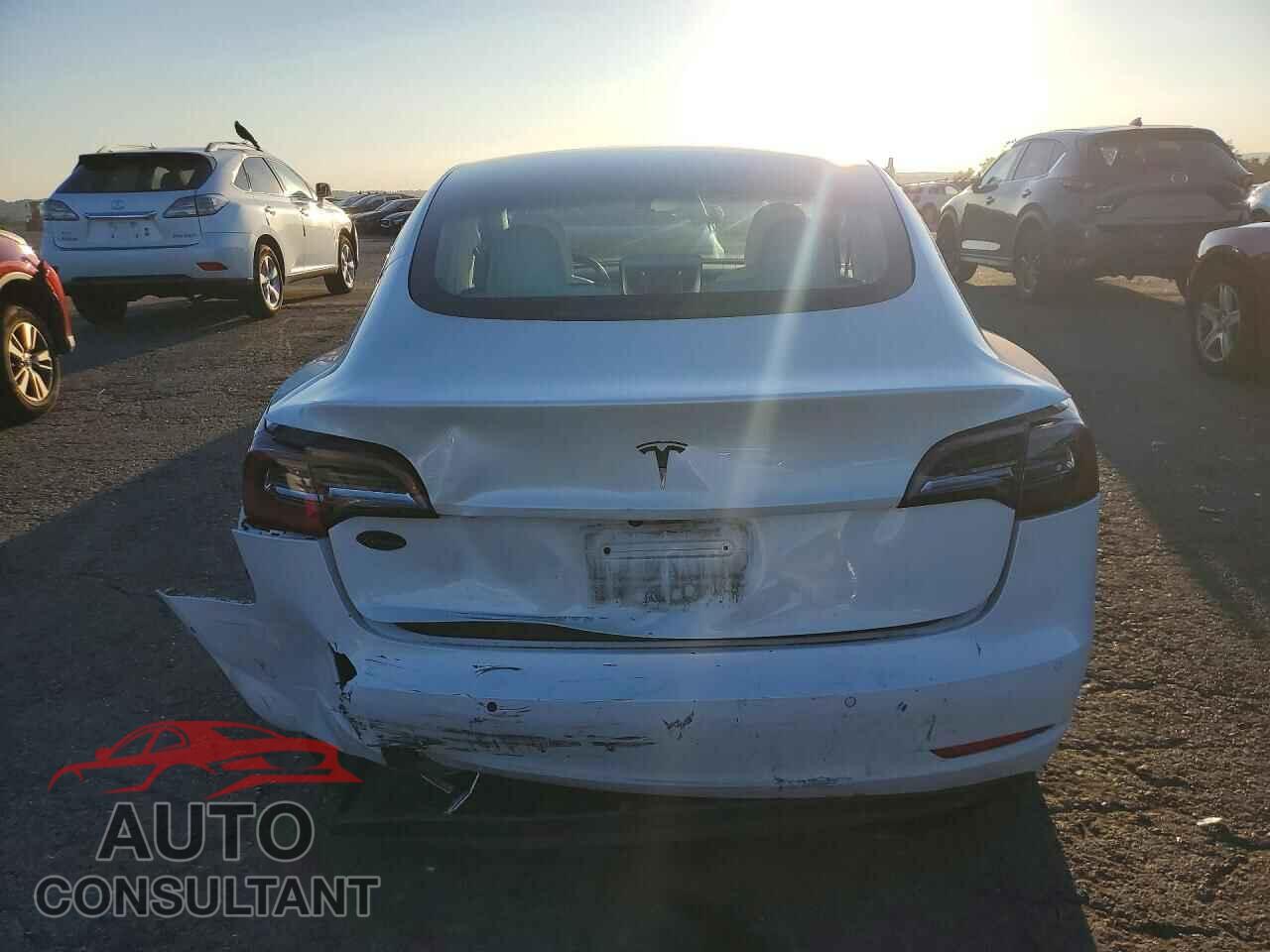 TESLA MODEL 3 2020 - 5YJ3E1EA3LF599262