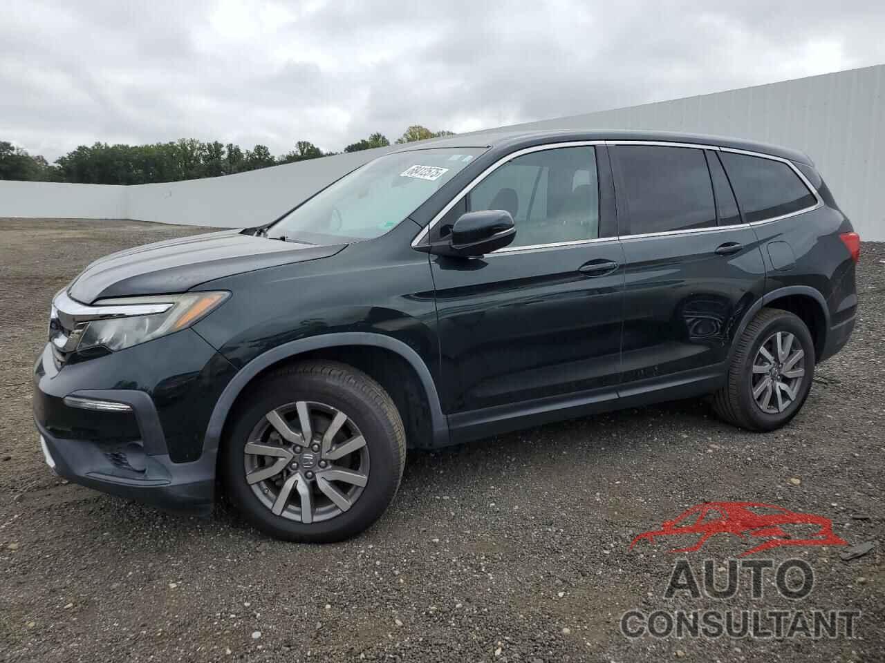 HONDA PILOT 2019 - 5FNYF5H31KB038516