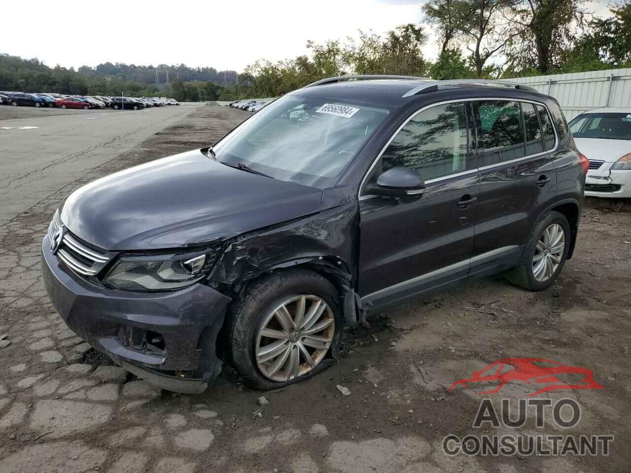 VOLKSWAGEN TIGUAN 2016 - WVGBV7AX1GW566265