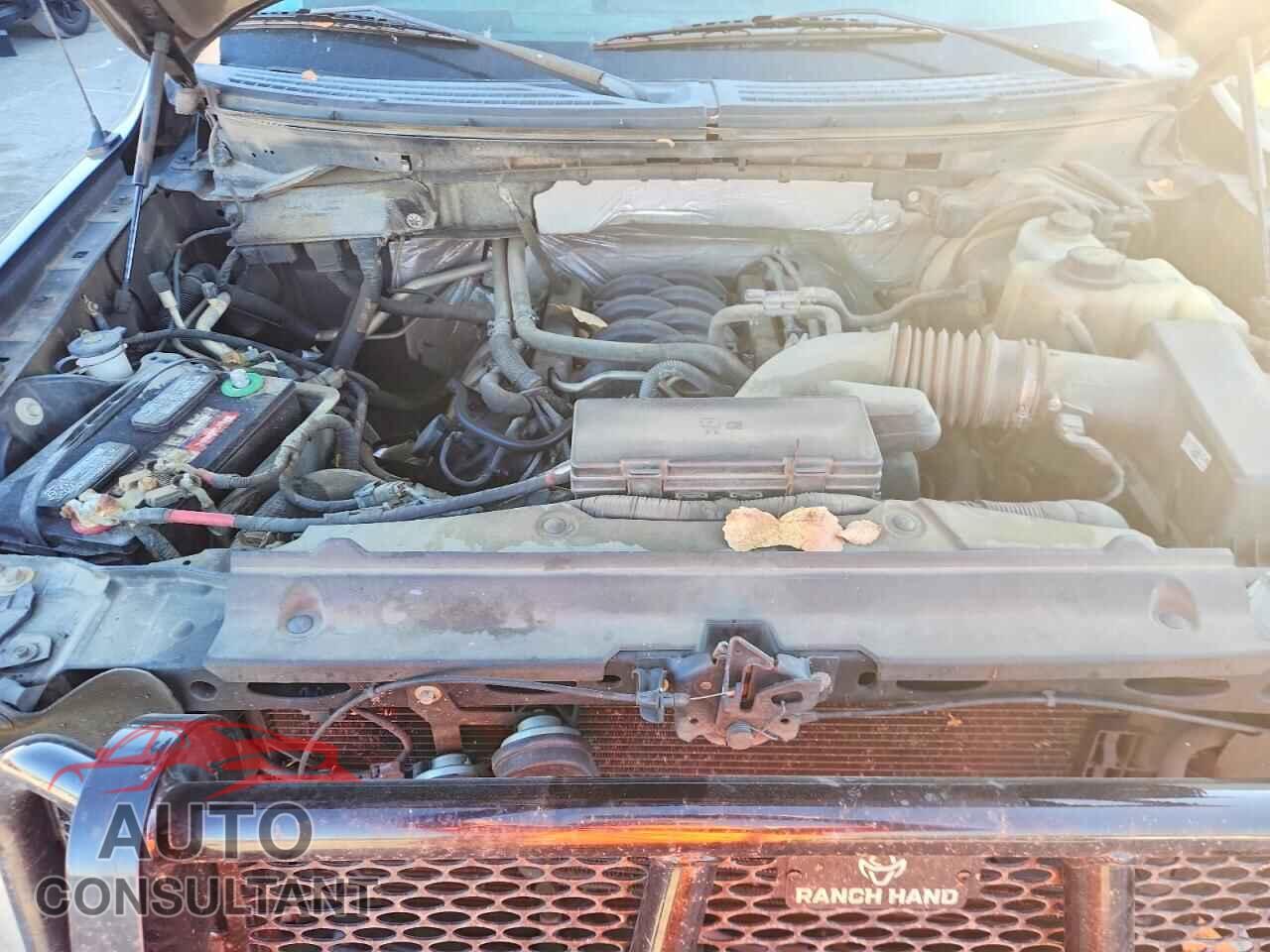 FORD F150 2012 - 1FTFX1EF2CFA81349