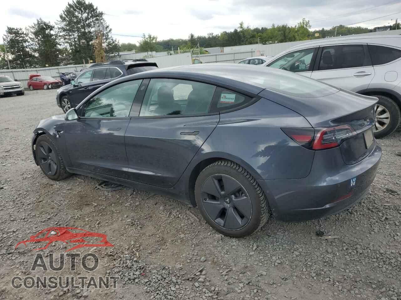 TESLA MODEL 3 2021 - 5YJ3E1EB6MF061813