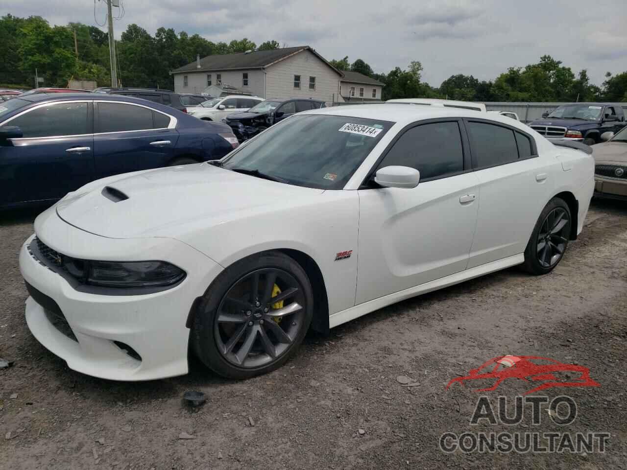 DODGE CHARGER 2019 - 2C3CDXGJ2KH706706