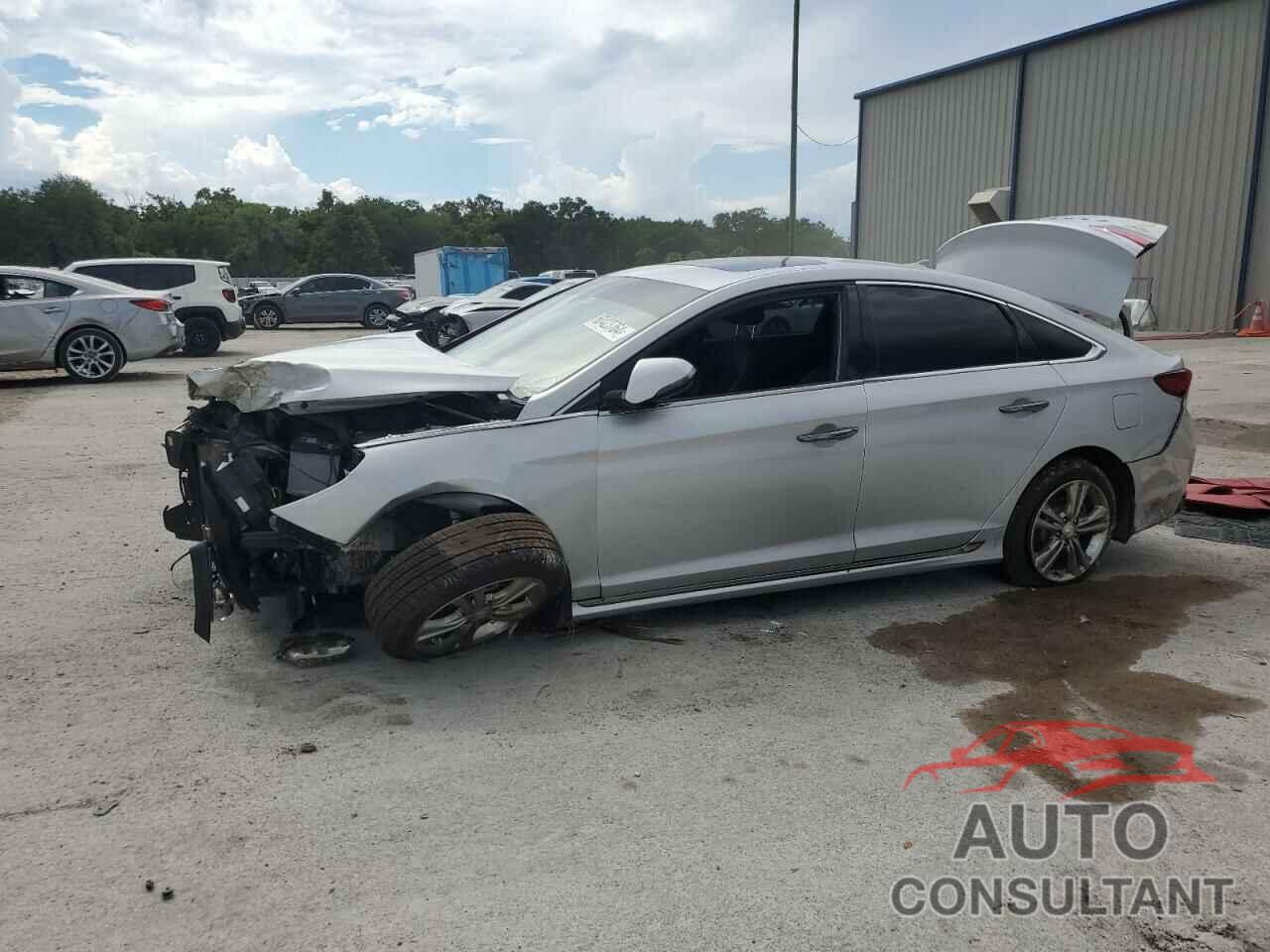 HYUNDAI SONATA 2019 - 5NPE34AF3KH815533