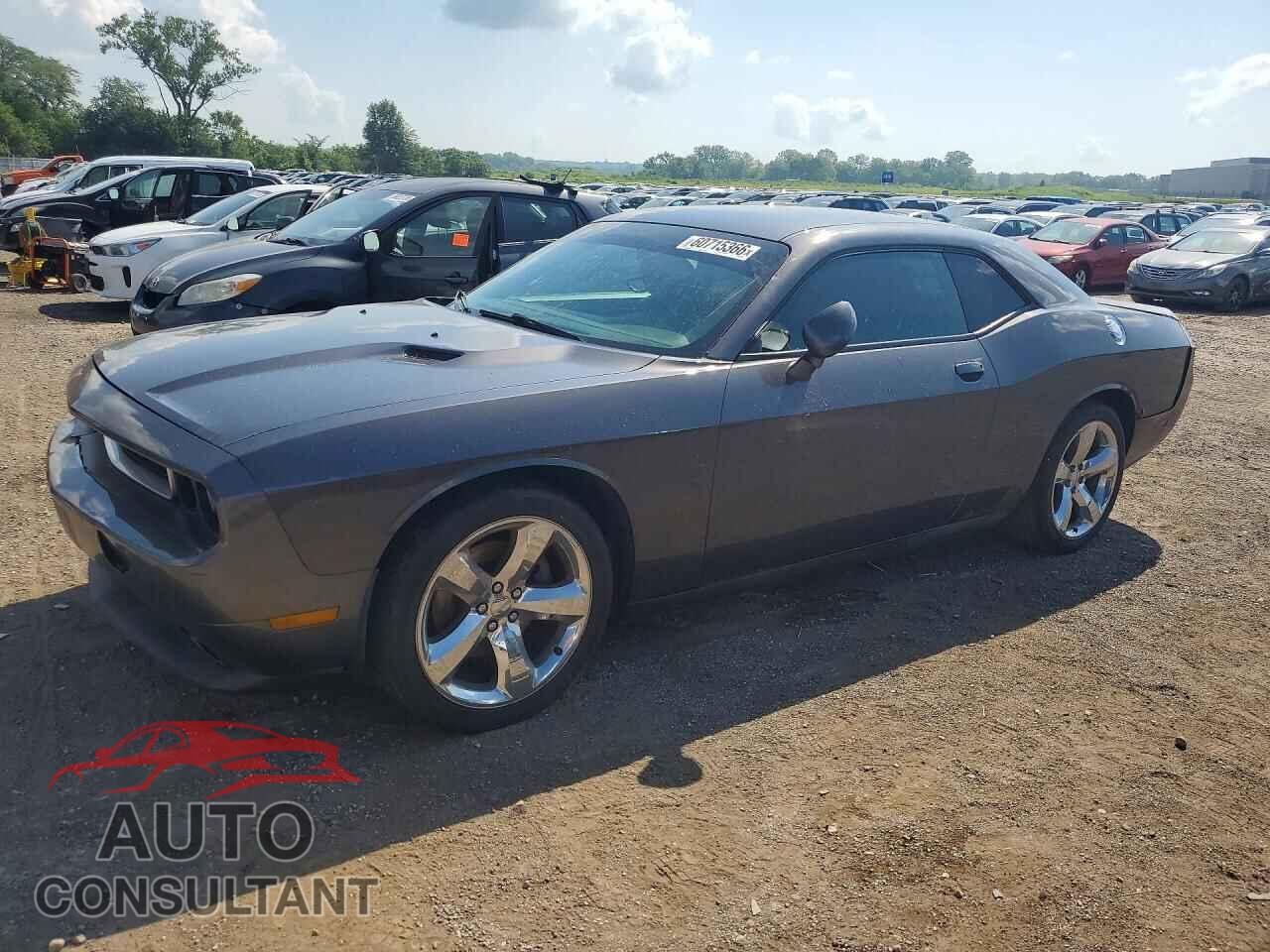 DODGE CHALLENGER 2013 - 2C3CDYAG3DH649051