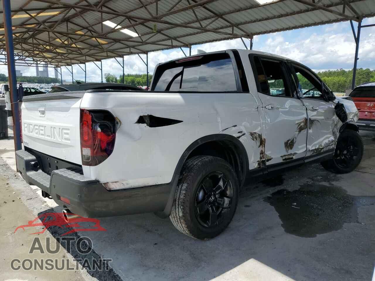 HONDA RIDGELINE 2024 - 5FPYK3F81RB028472