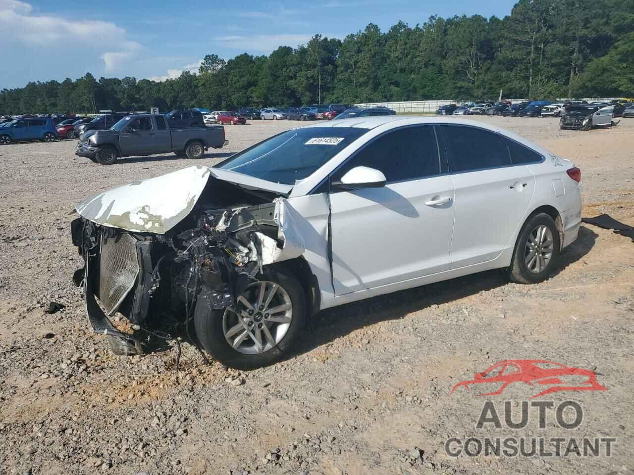 HYUNDAI SONATA 2016 - 5NPE24AF6GH344438