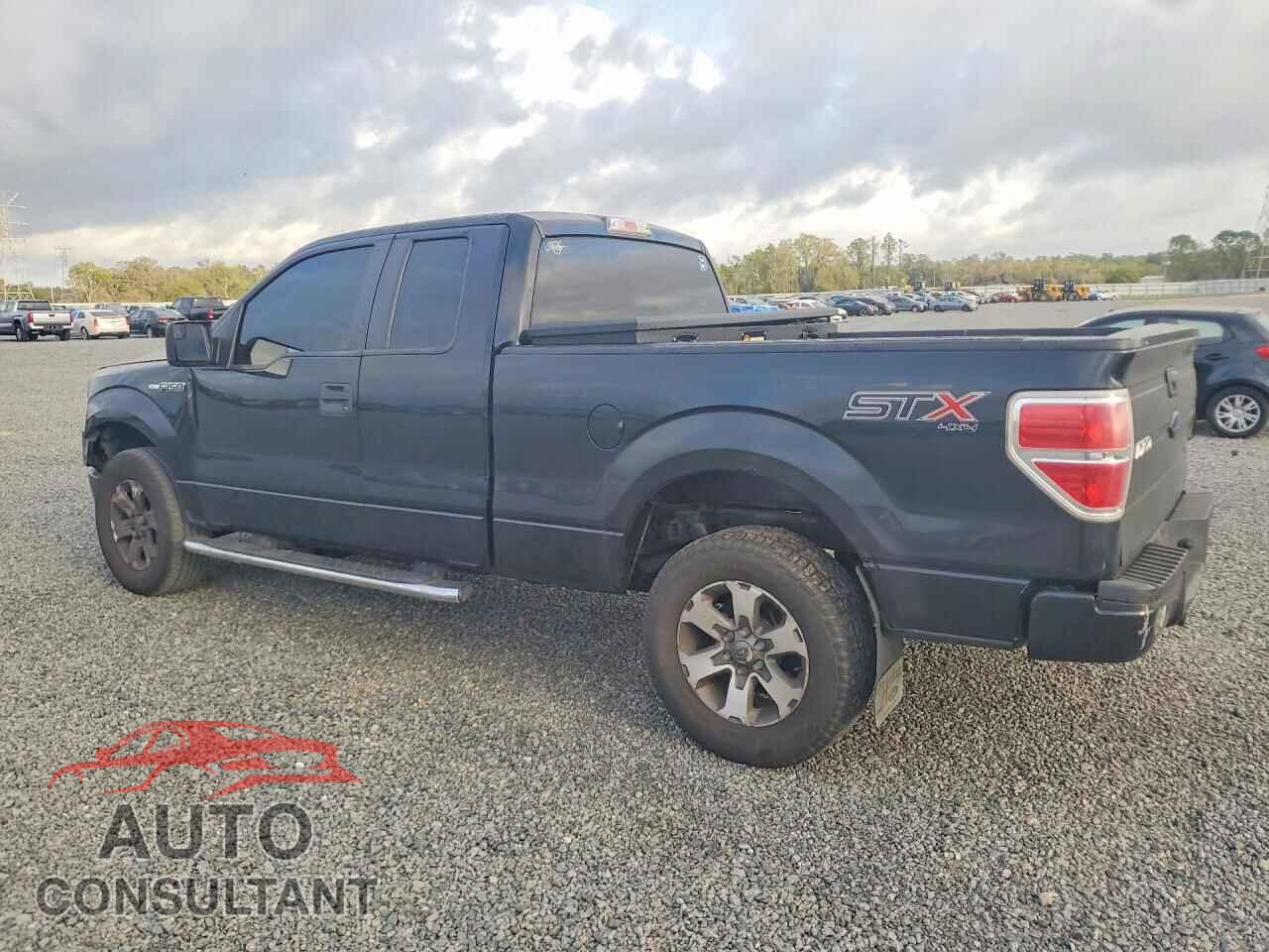 FORD F150 2014 - 1FTFX1EF4EFC58244