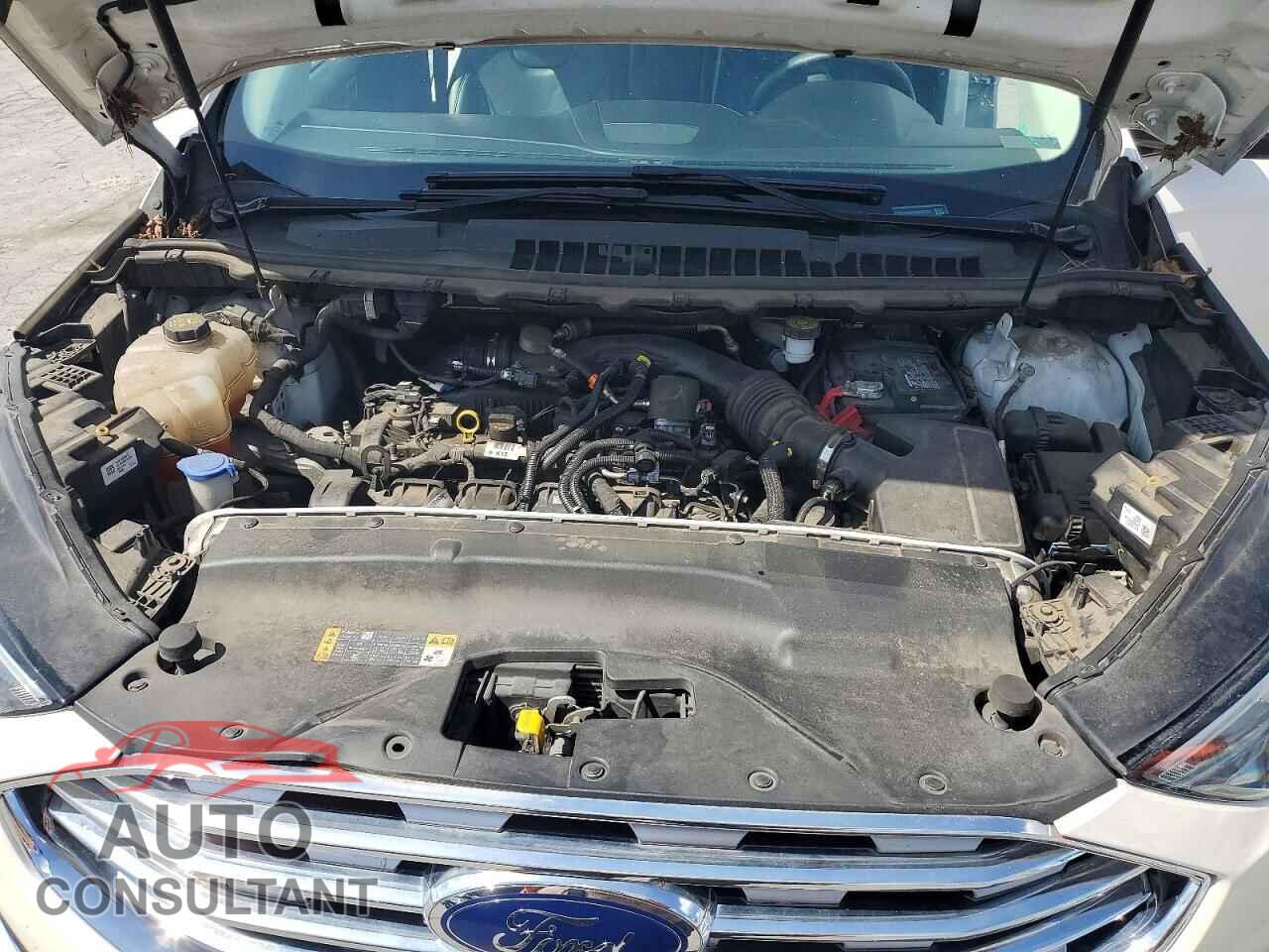 FORD EDGE 2019 - 2FMPK4K94KBC22131
