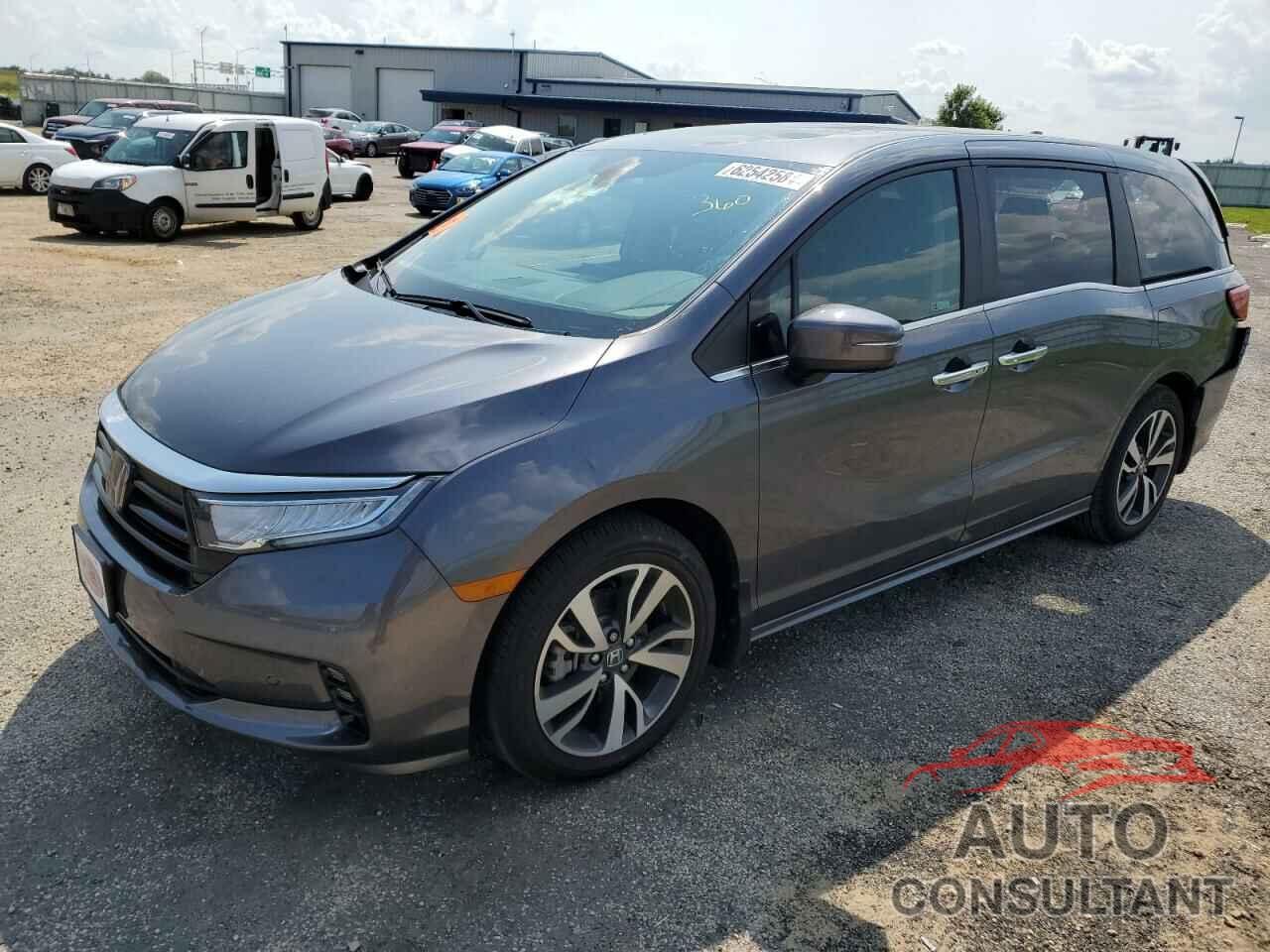 HONDA ODYSSEY 2024 - 5FNRL6H86RB031666