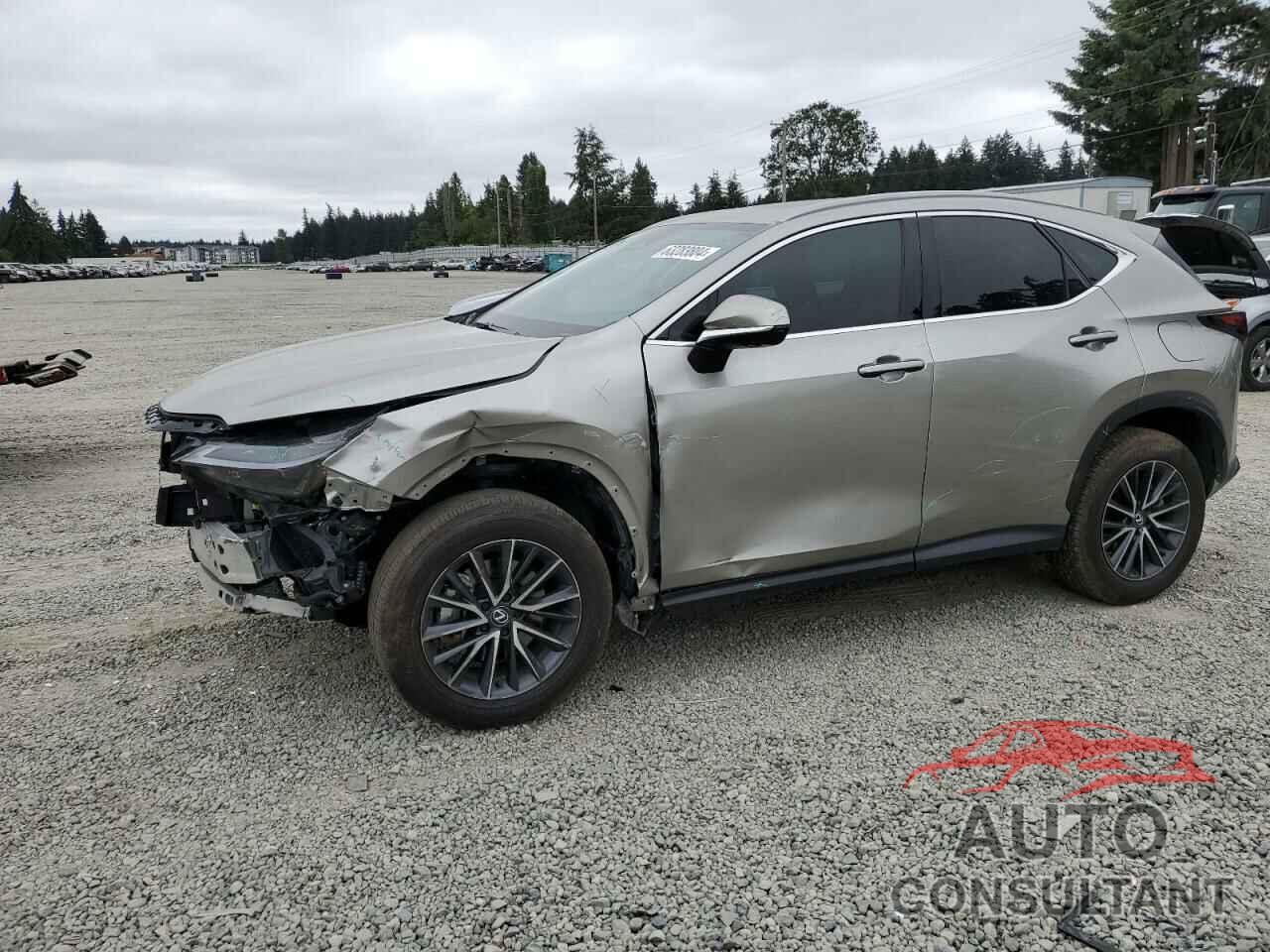 LEXUS NX 350H BA 2024 - 2T2GKCEZ0RC019289