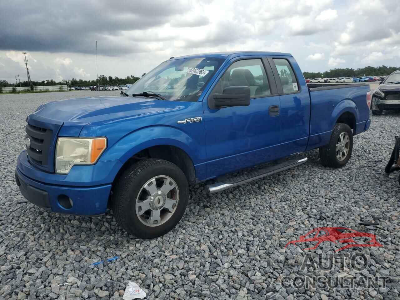 FORD F-150 2009 - 1FTRX12WX9FA14041