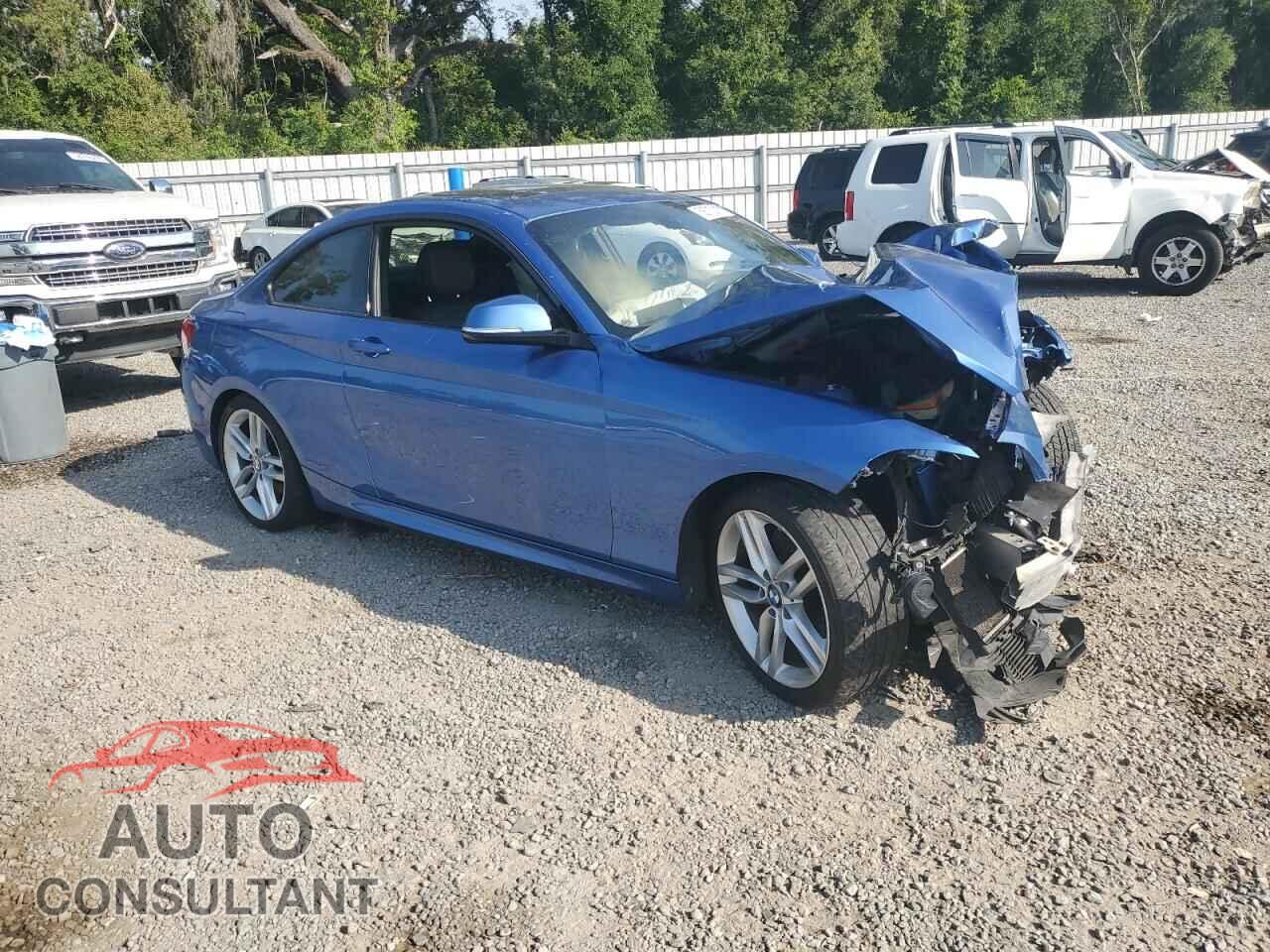 BMW 2 SERIES 2014 - WBA1F5C56EV246159
