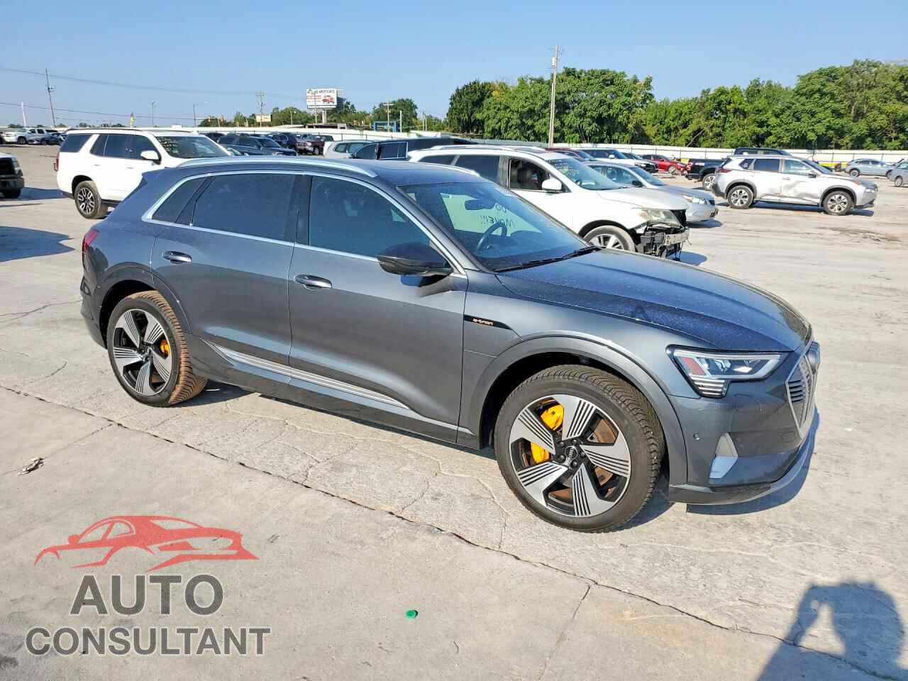 AUDI E-TRON 2019 - WA1VAAGE3KB007357