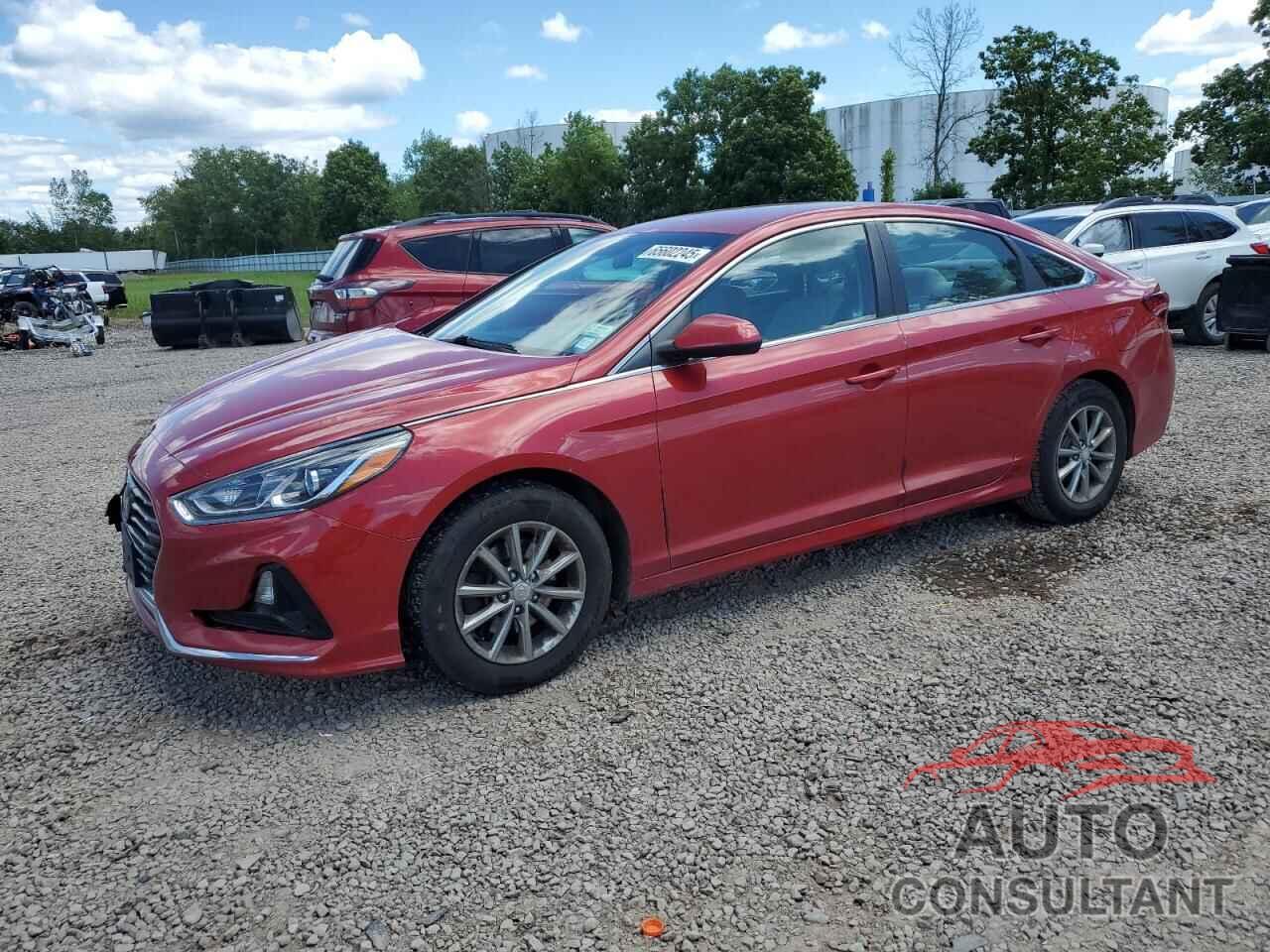 HYUNDAI SONATA 2019 - 5NPE24AF8KH741190
