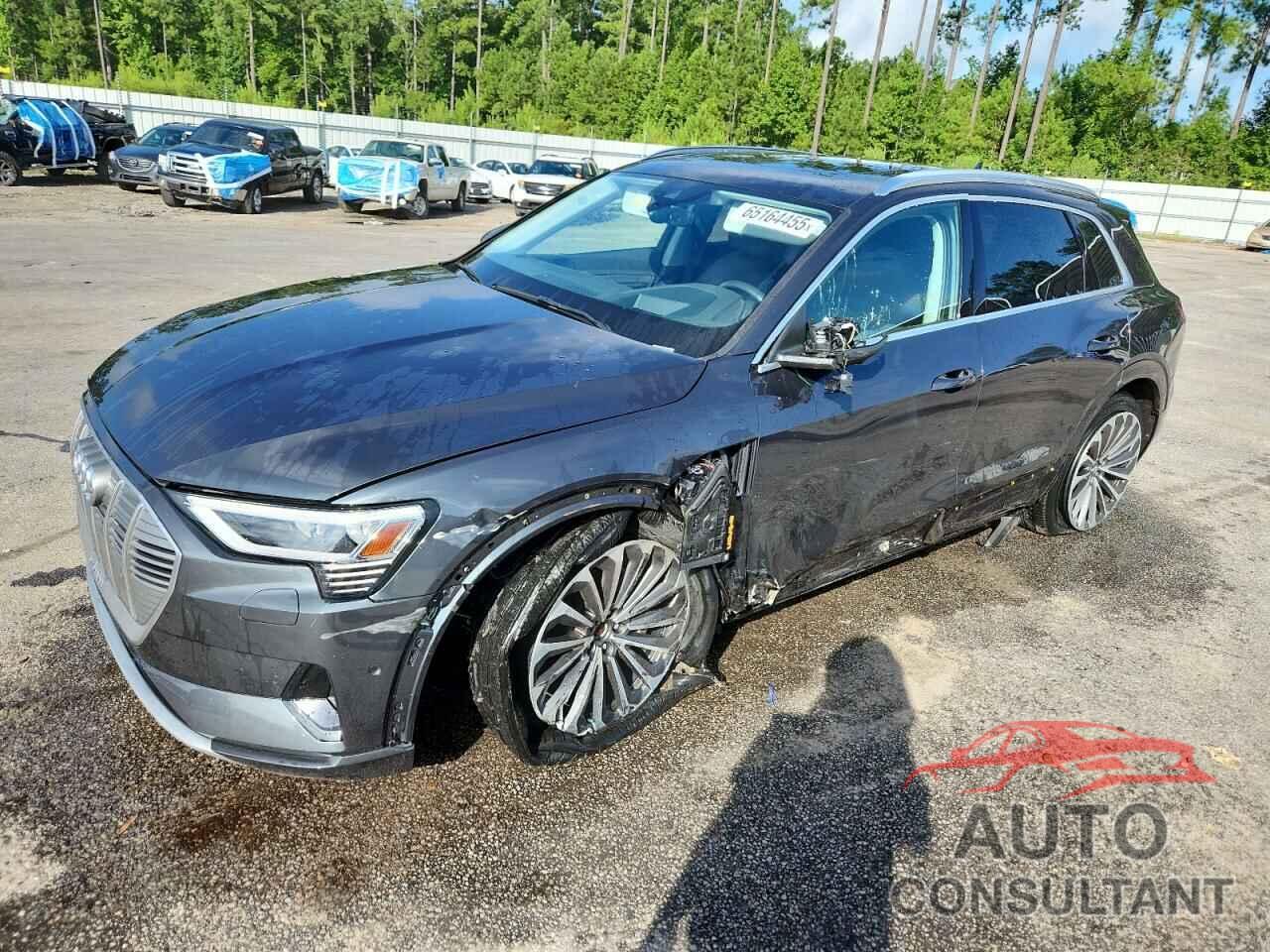 AUDI E-TRON 2019 - WA1VAAGE0KB025041