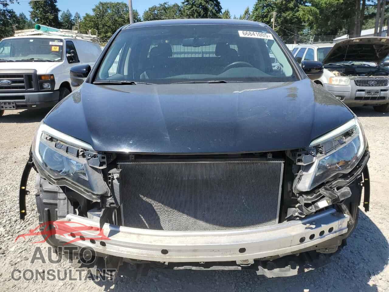 HONDA RIDGELINE 2017 - 5FPYK3F6XHB029469