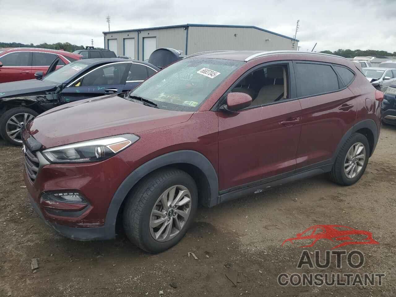 HYUNDAI TUCSON 2016 - KM8J33A41GU092040