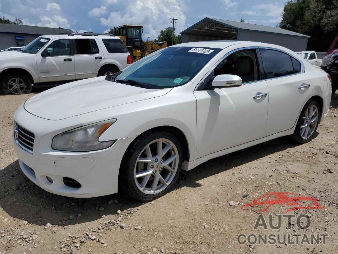 NISSAN MAXIMA 2009 - 1N4AA51E89C818151