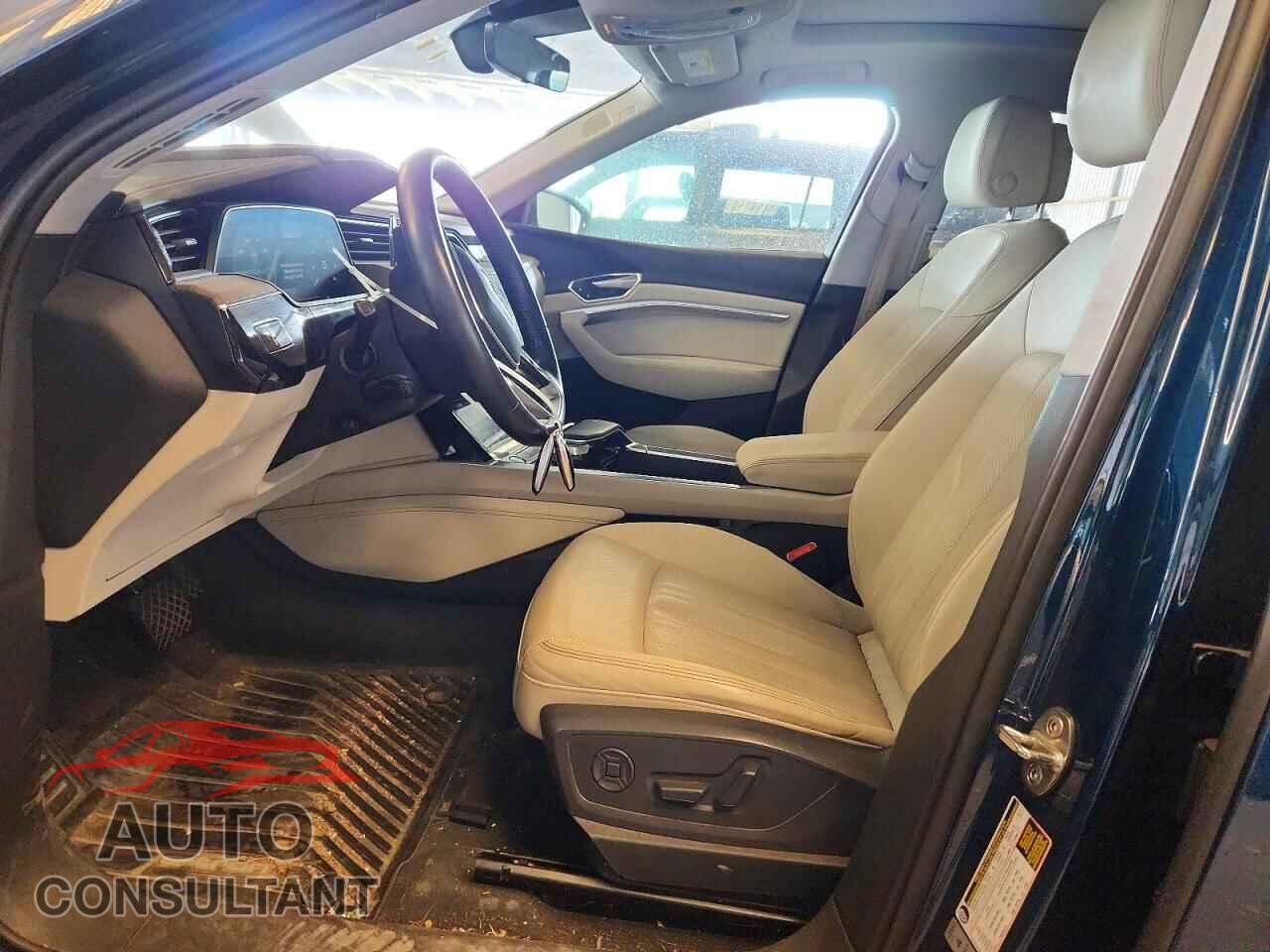 AUDI E-TRON 2019 - WA1LABGEXKB011533