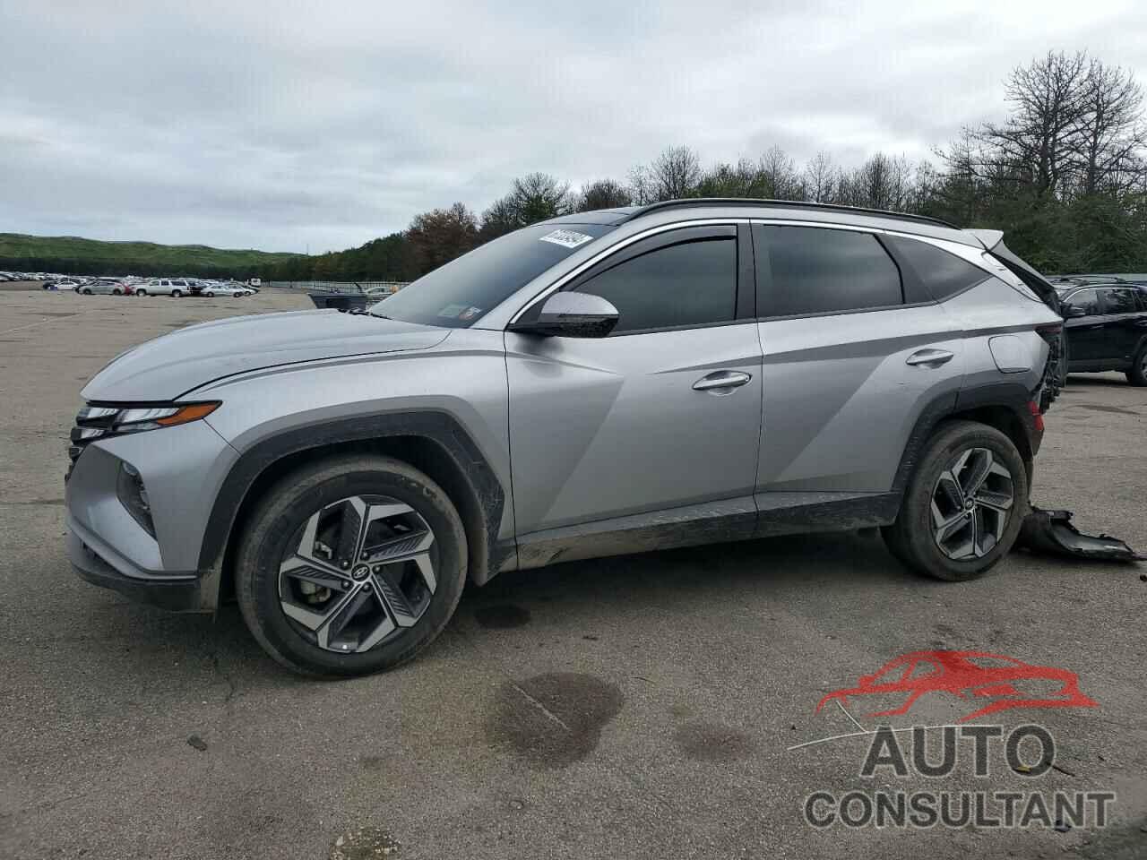 HYUNDAI TUCSON 2023 - KM8JFCA1XPU089375