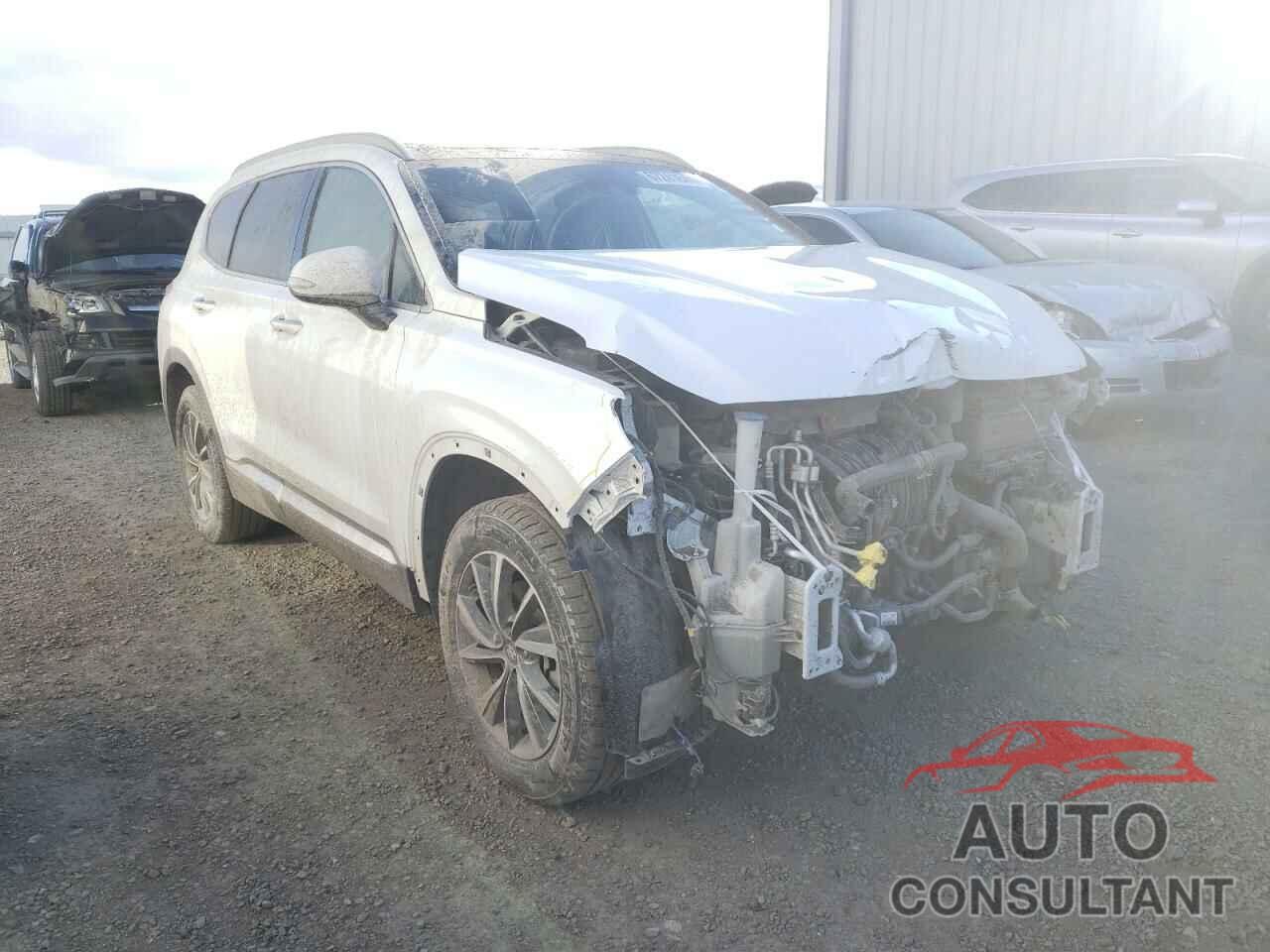 HYUNDAI SANTA FE 2019 - 5NMS5CAD5KH022589